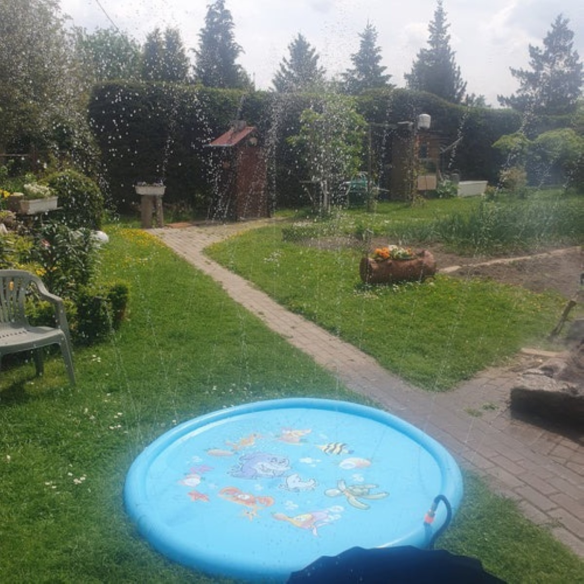Una piscina infantil azul con criaturas marinas en el césped. Escena de jardín con camino.