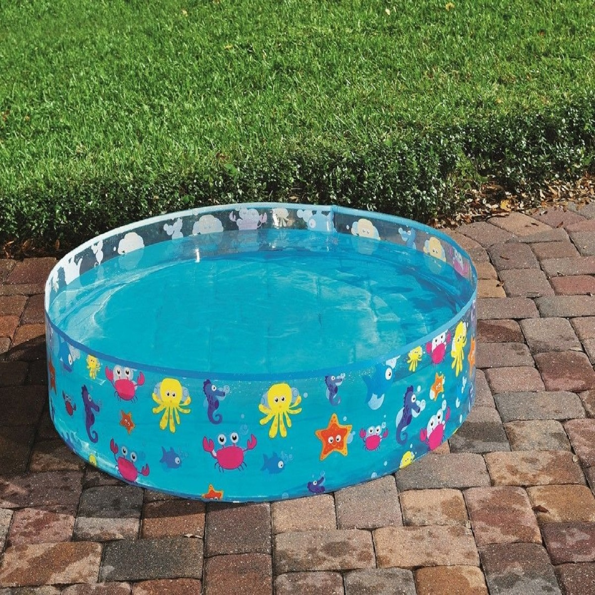 Una piscina inflable azul con criaturas marinas se encuentra en un patio de ladrillos junto a hierba verde.