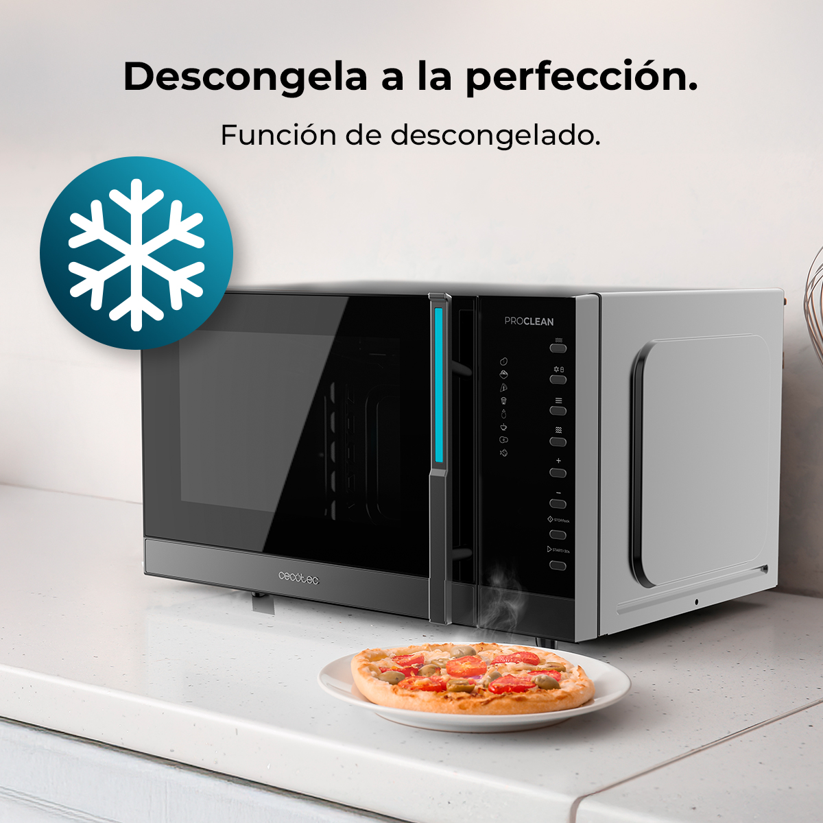 Un microonde con simbolo di congelato e una pizza.