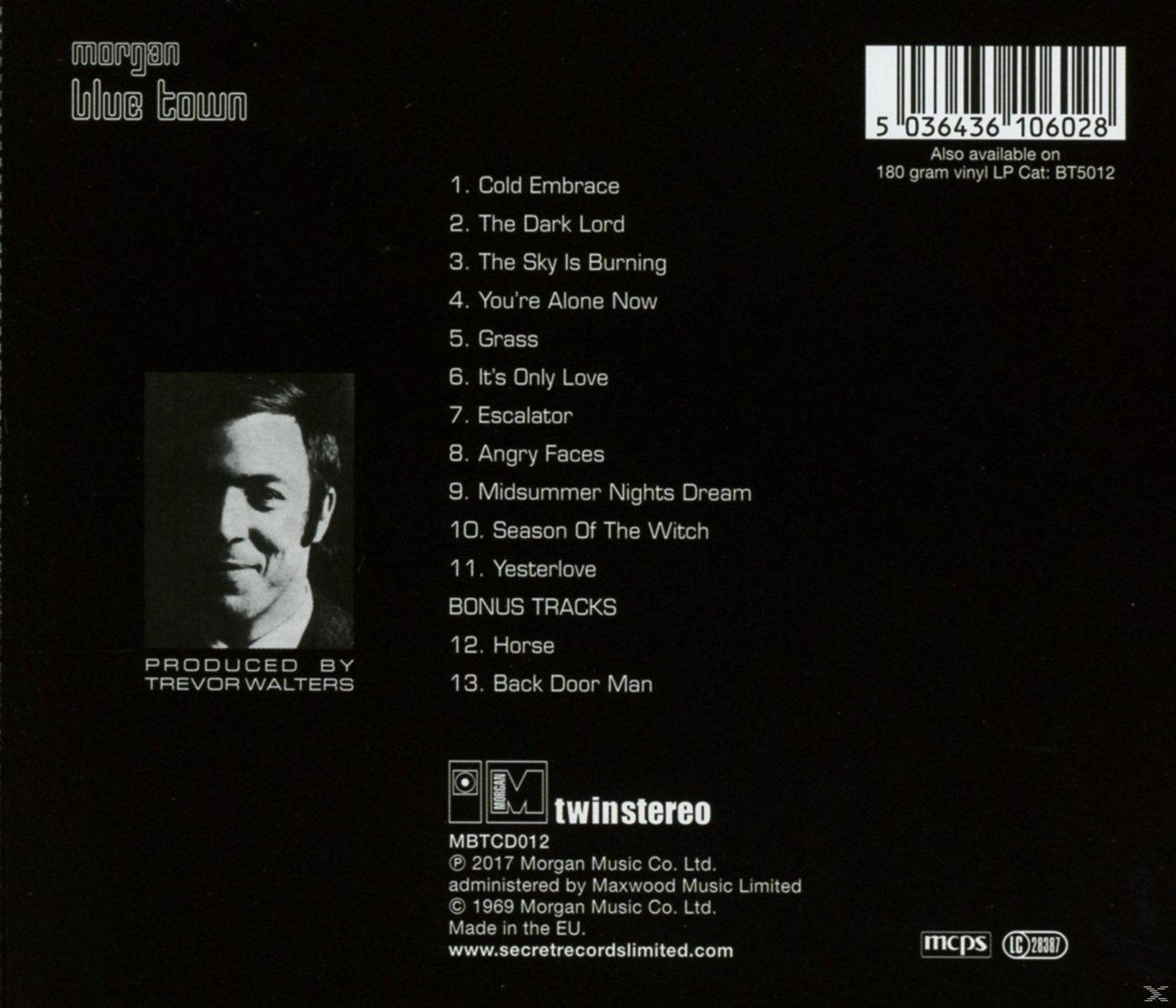 Albumcover mit Trackliste, Barcode und Künstlerfoto. Titel: 'morgan blue town'.