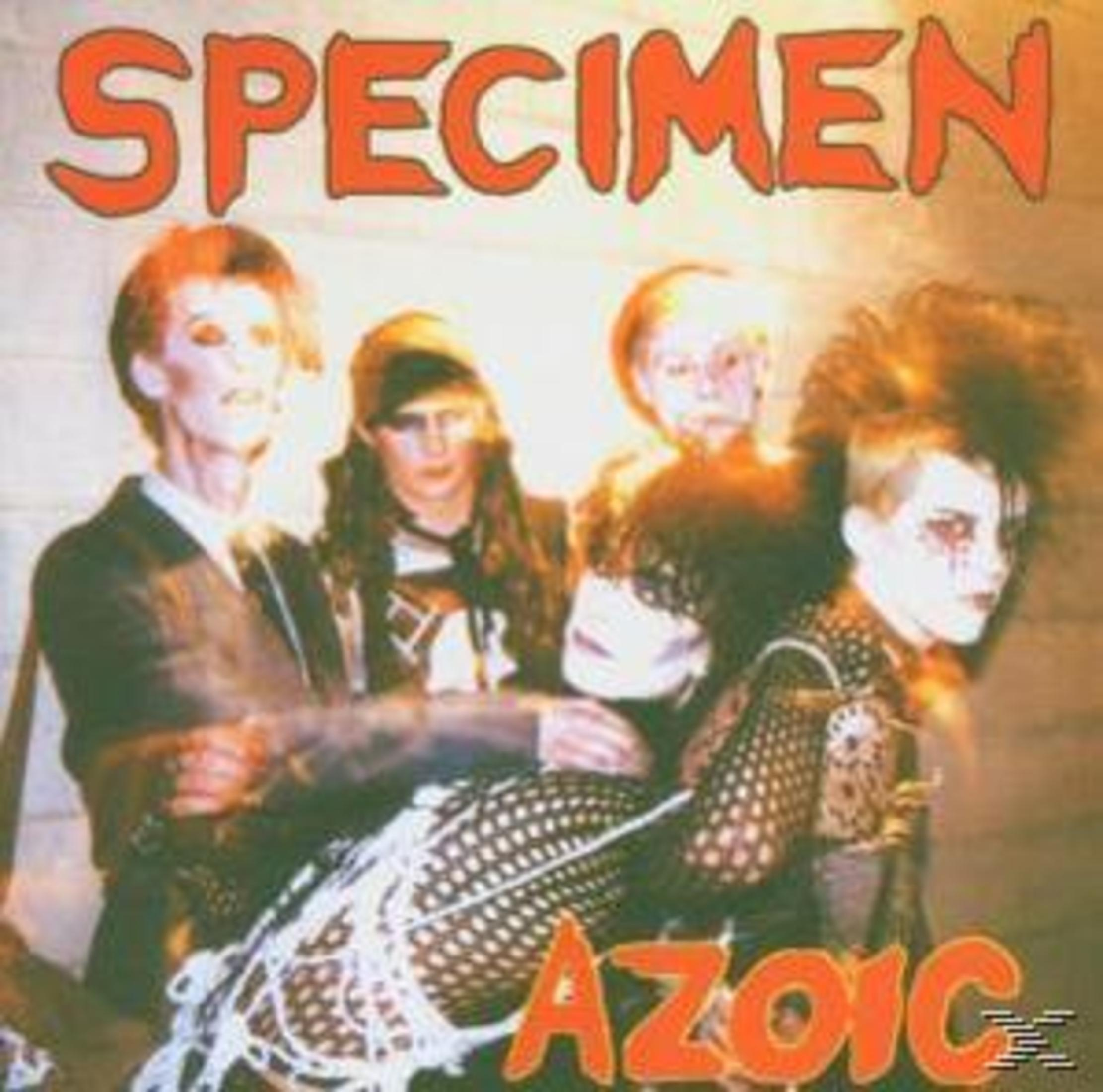 Fünf Punks mit Make-up und aufwendigen Frisuren posieren vor einem Bandnamen.