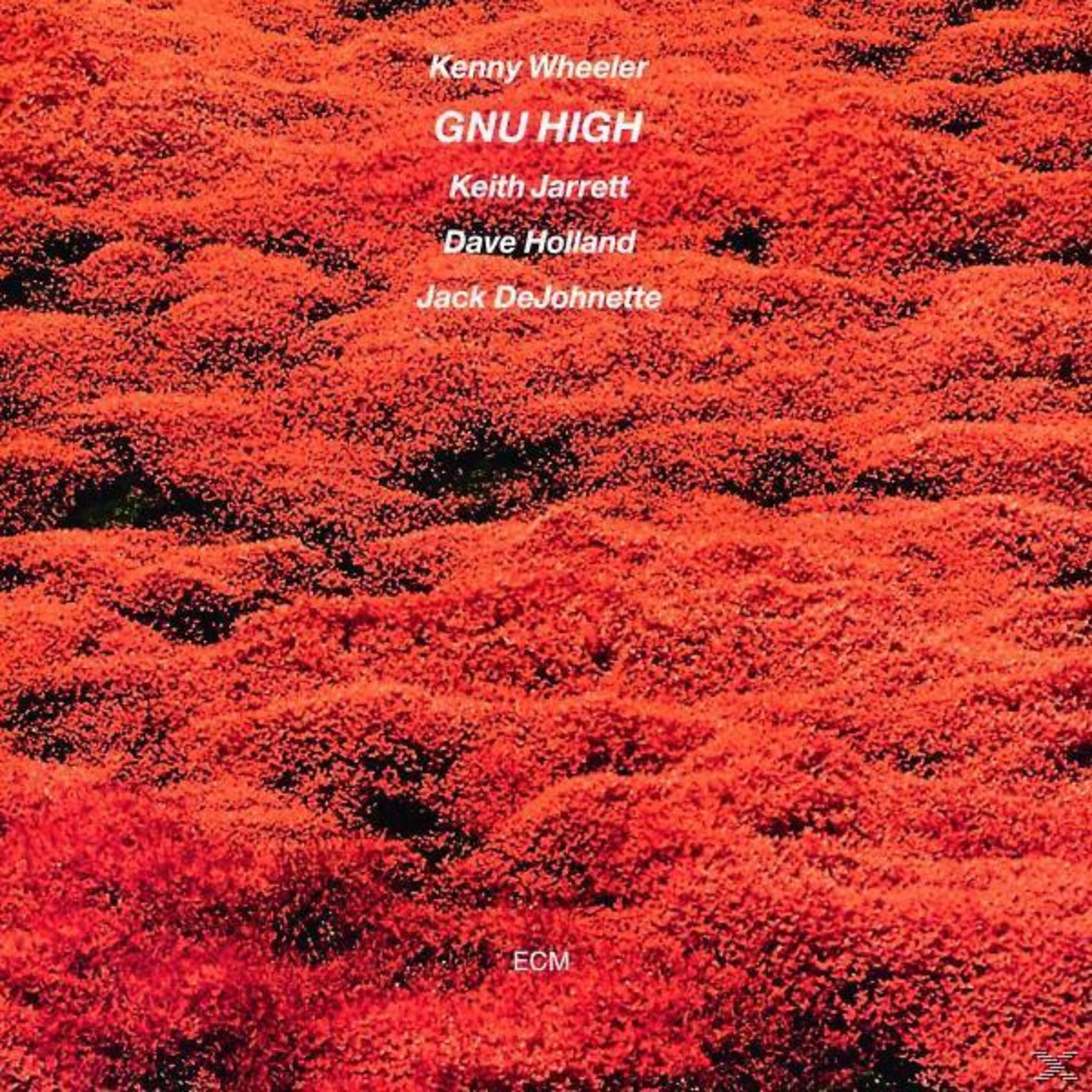 Albumcover mit roten Blumen und Bandnamen.