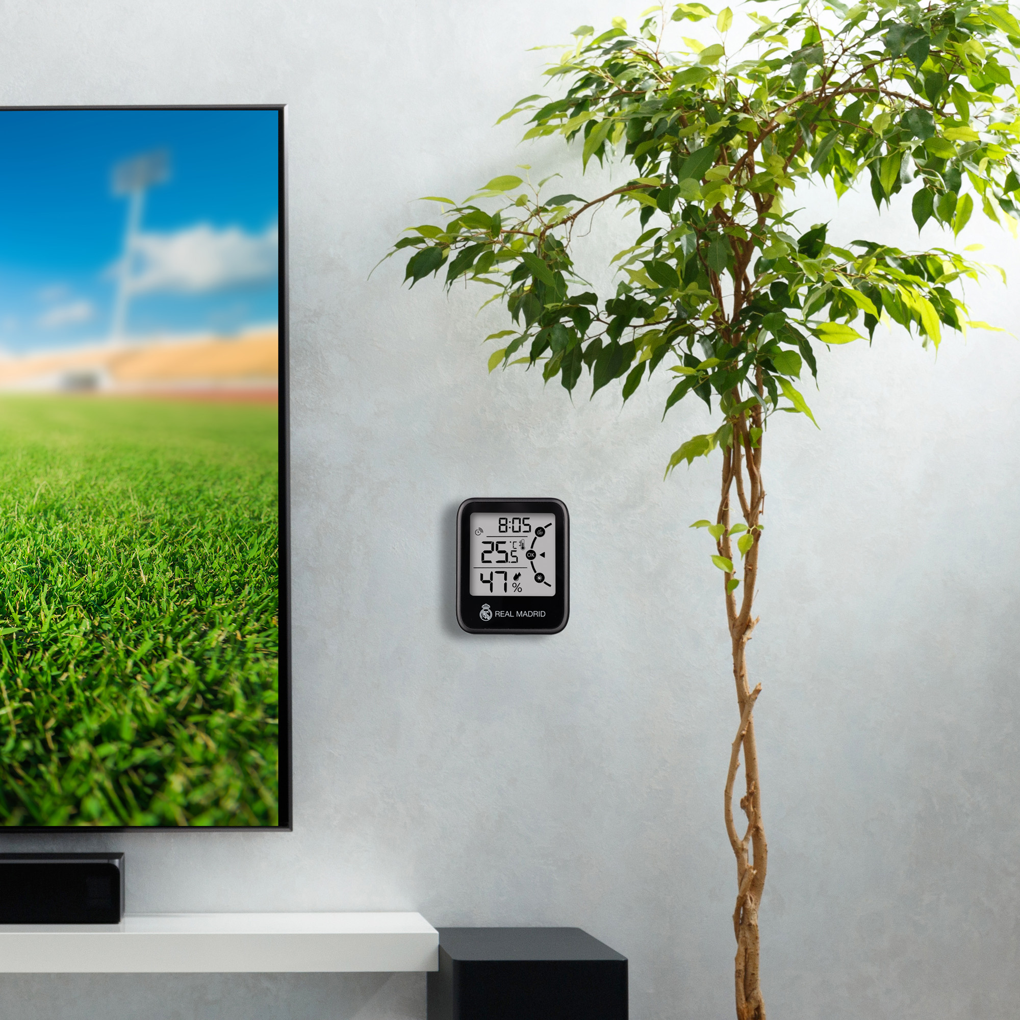 Un termómetro cuelga en una pared junto a un árbol. Un televisor está a la izquierda.