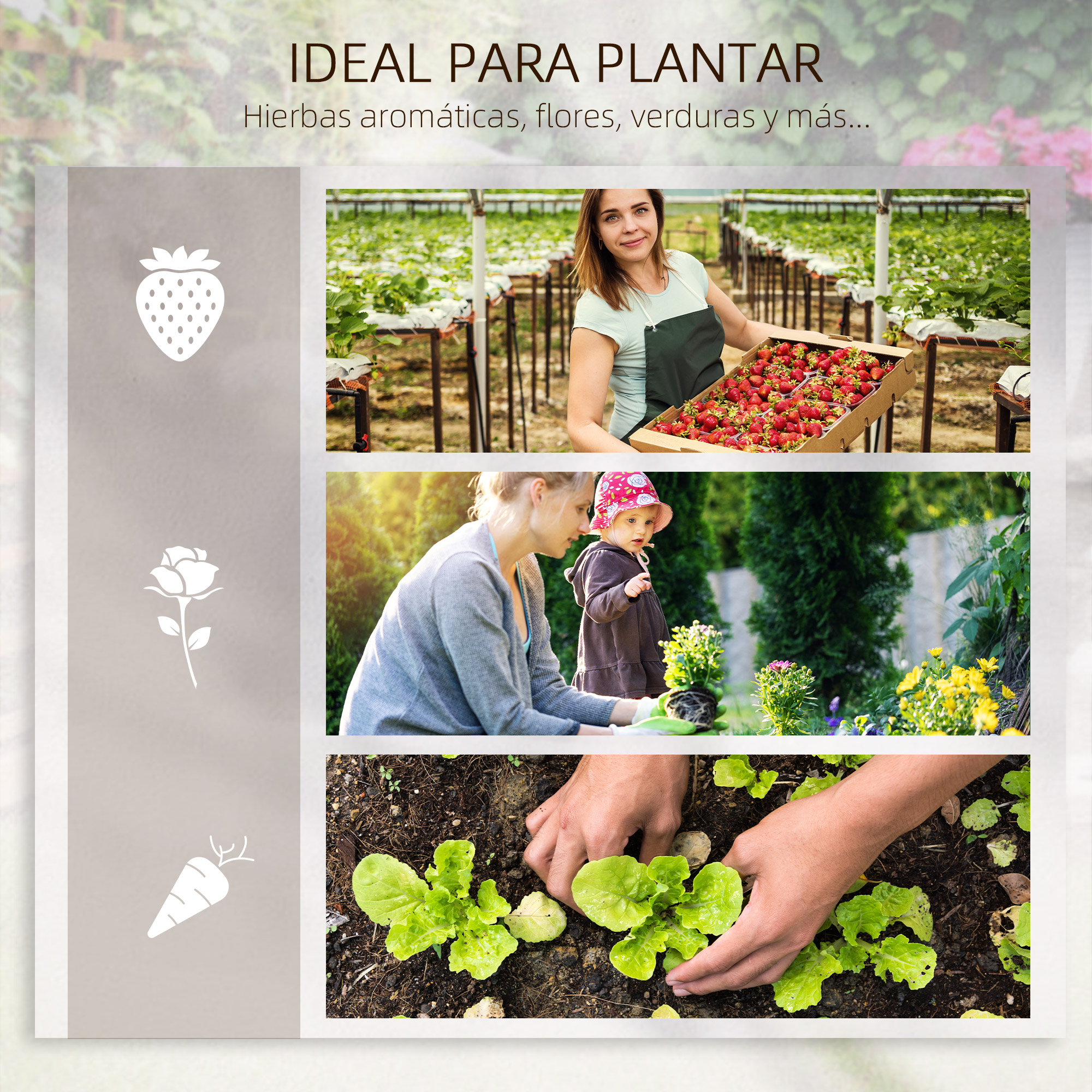Mujer con fresas en invernadero, madre con niño en jardín, manos plantando lechuga.