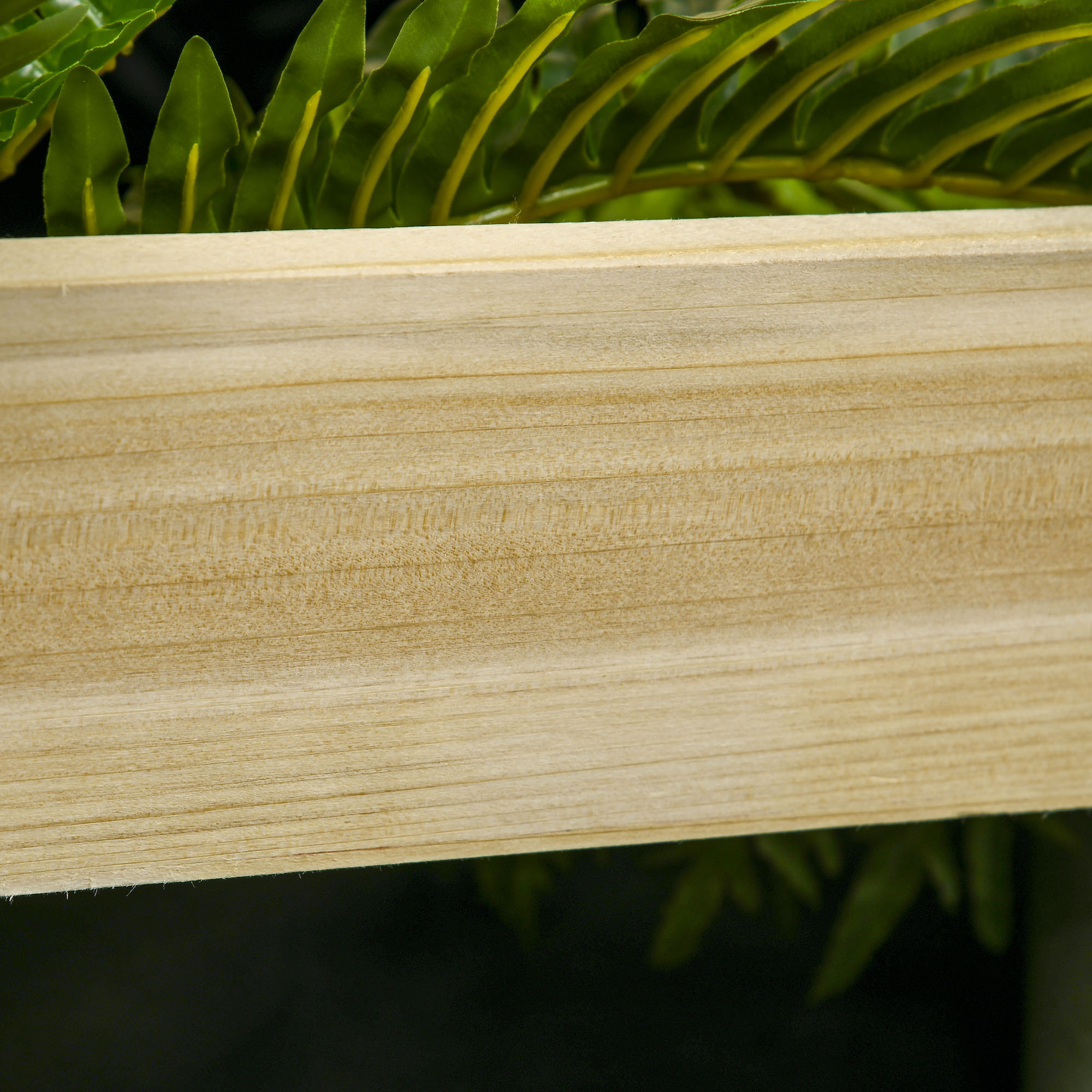 Tabla de madera con hojas de helecho verdes al fondo.