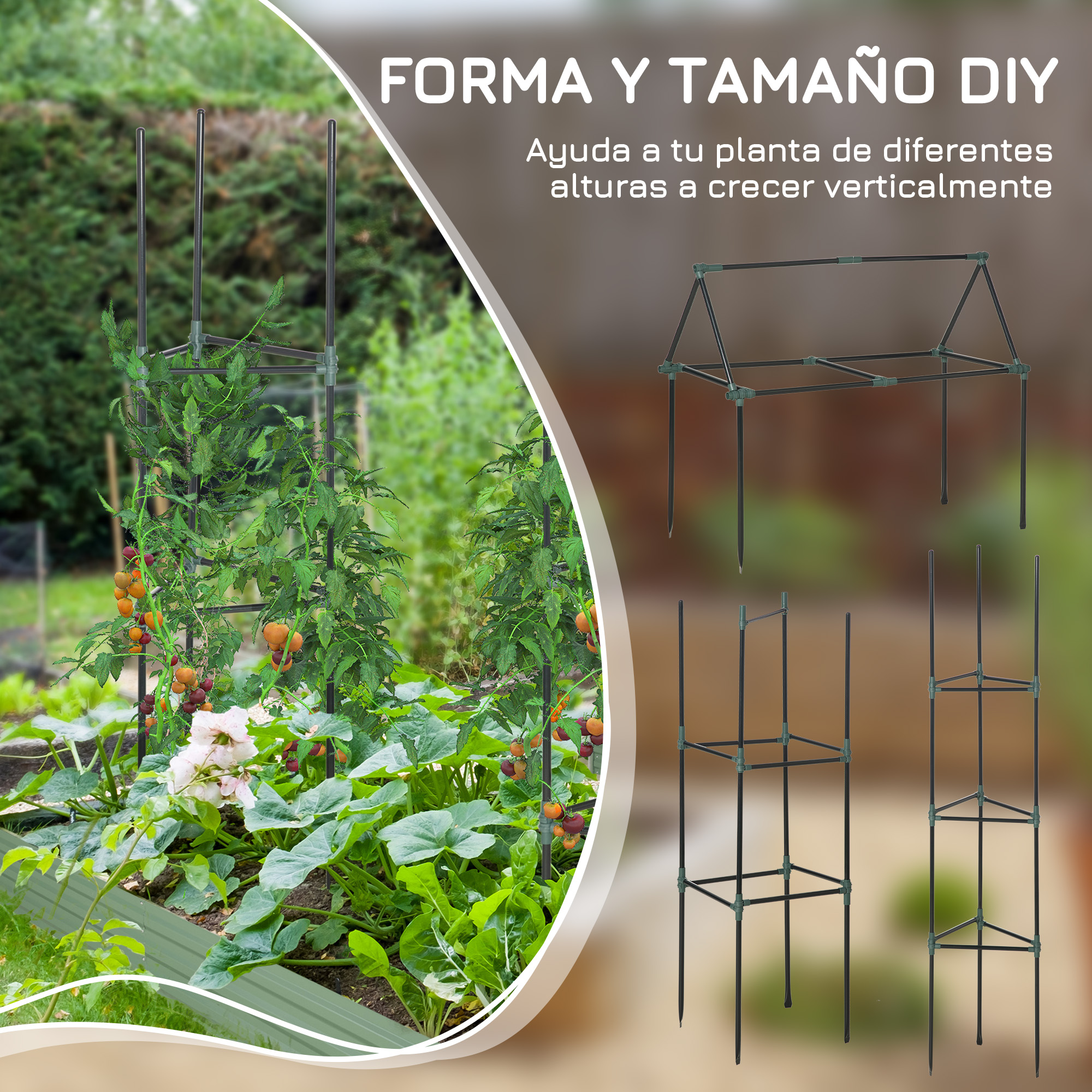 Enrejado de plantas con tomates y frutos, mostrando diferentes opciones de montaje.