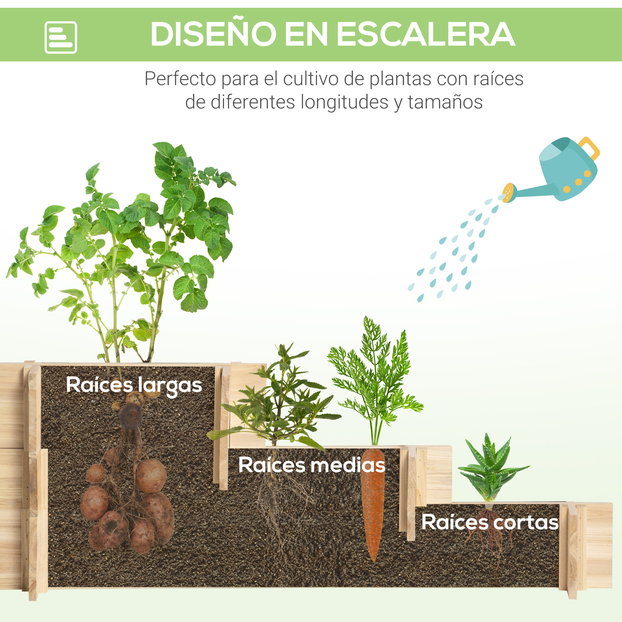 Diseño escalonado: plantas con raíces largas, medias y cortas.