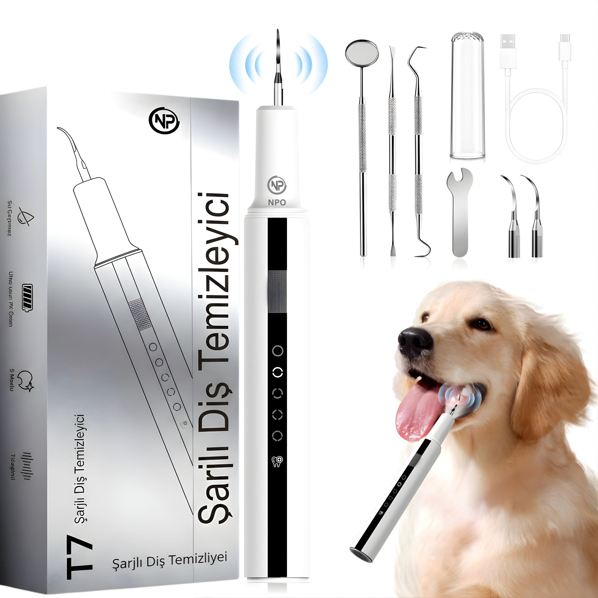 Bir köpek elektrikli diş temizleyici ile tedavi ediliyor. Diş aletleri yanında duruyor.