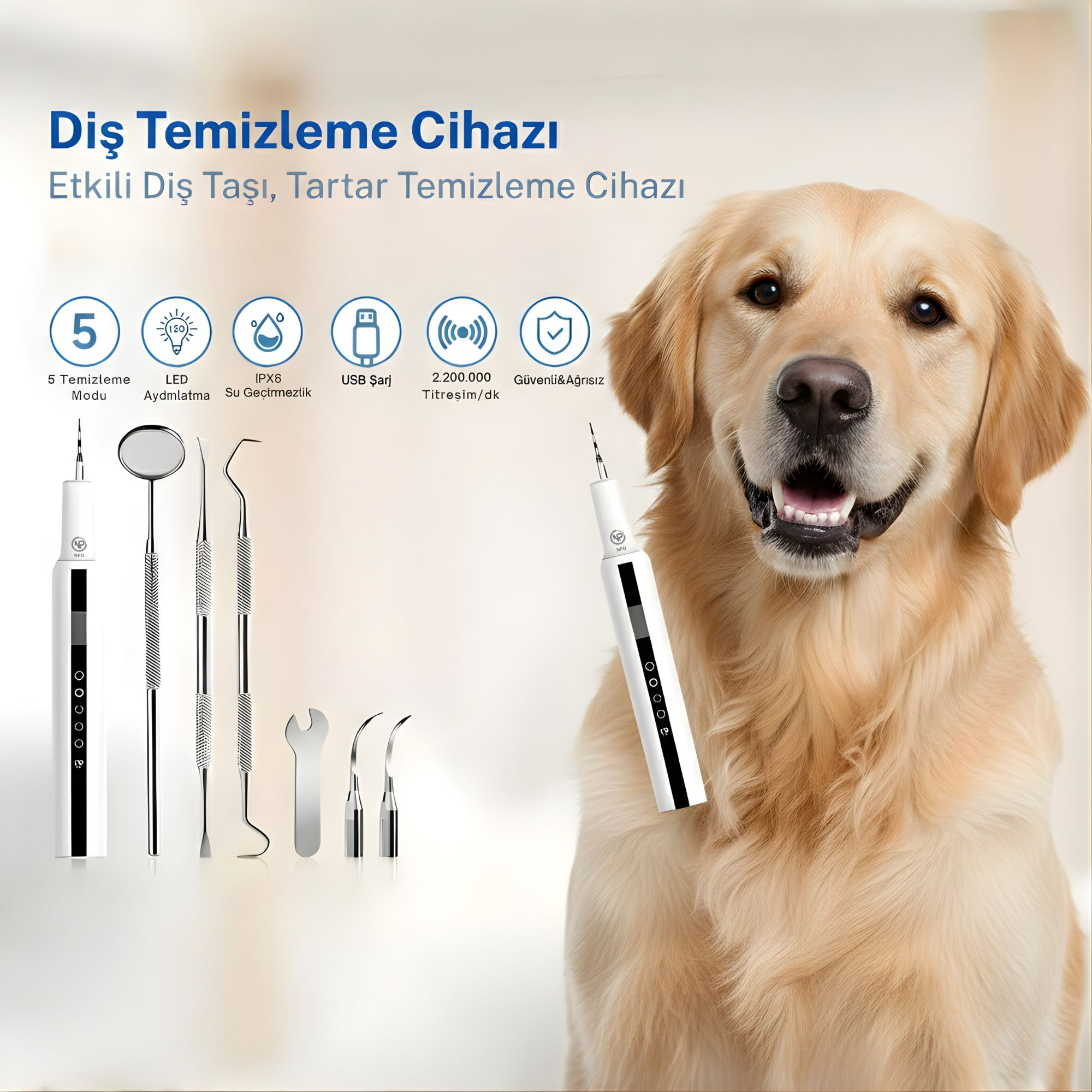 Golden Retriever diş temizleme aletleri ve ikonların yanında.
