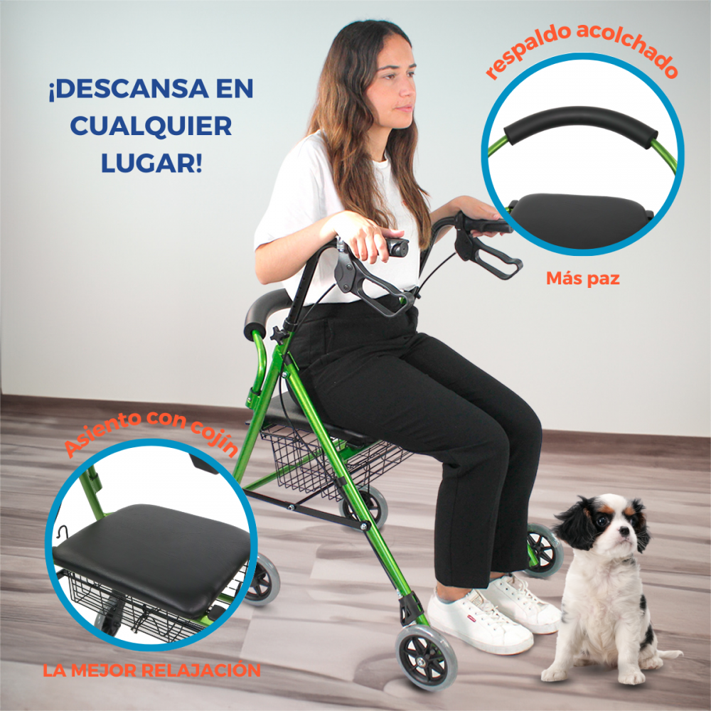 Una mujer sentada en un andador verde con un perro cerca.