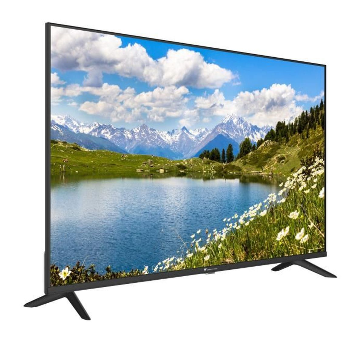 Ein Fernseher zeigt eine Berglandschaft mit See, Bäumen und blühenden Blumen.