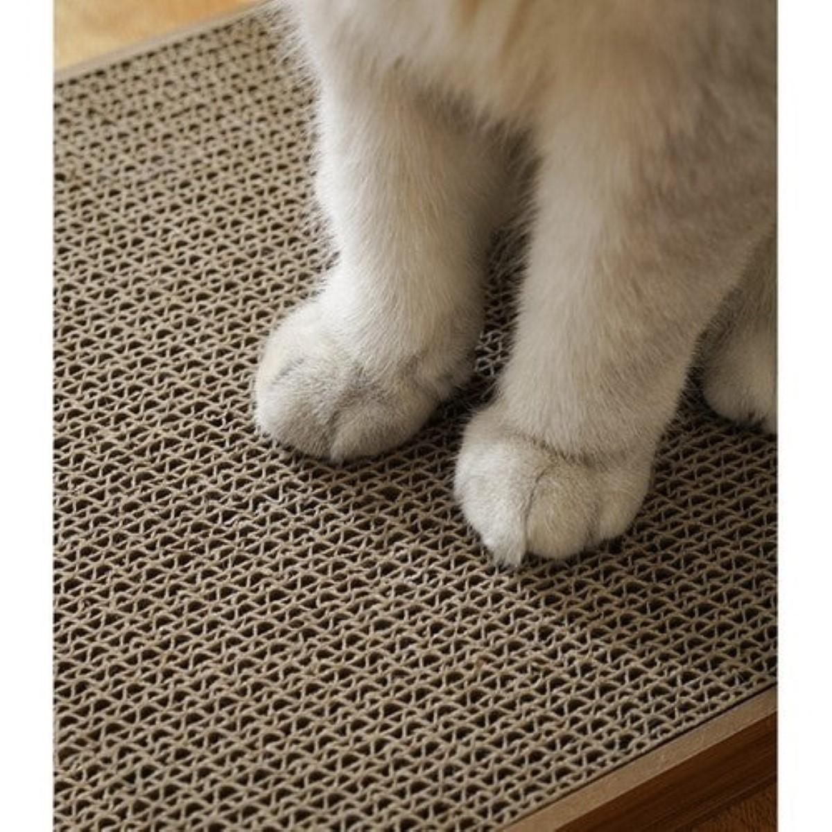 Patas blancas de gato sobre una tabla de rascar de cartón corrugado.
