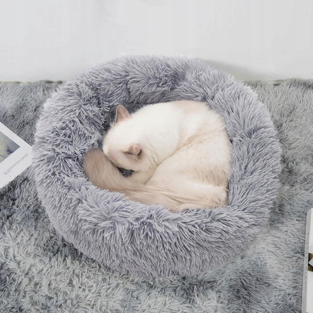 Un gato blanco duerme acurrucado en una cama gris y esponjosa sobre una alfombra gris.