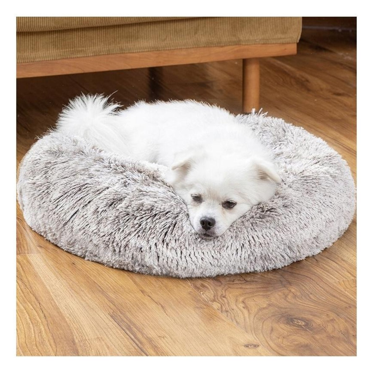 Un perro blanco descansa en una cama gris y esponjosa sobre suelo de madera.