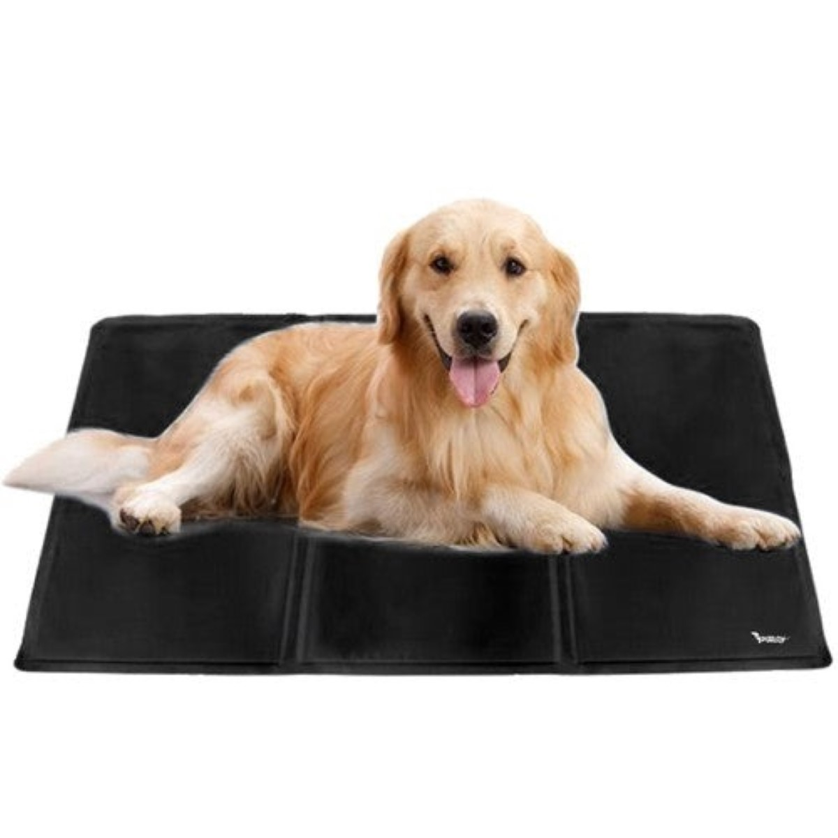 Un golden retriever está acostado sobre una alfombra negra.