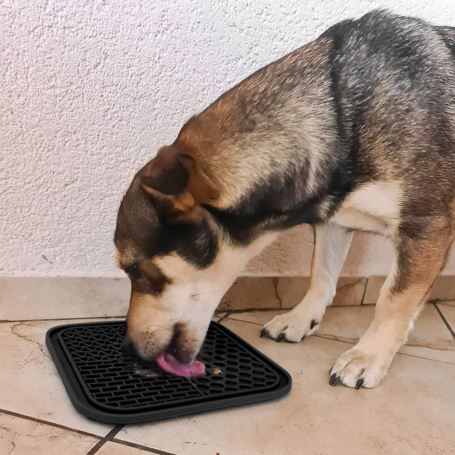 Un perro lame comida de una alfombra negra sobre un suelo de baldosas.