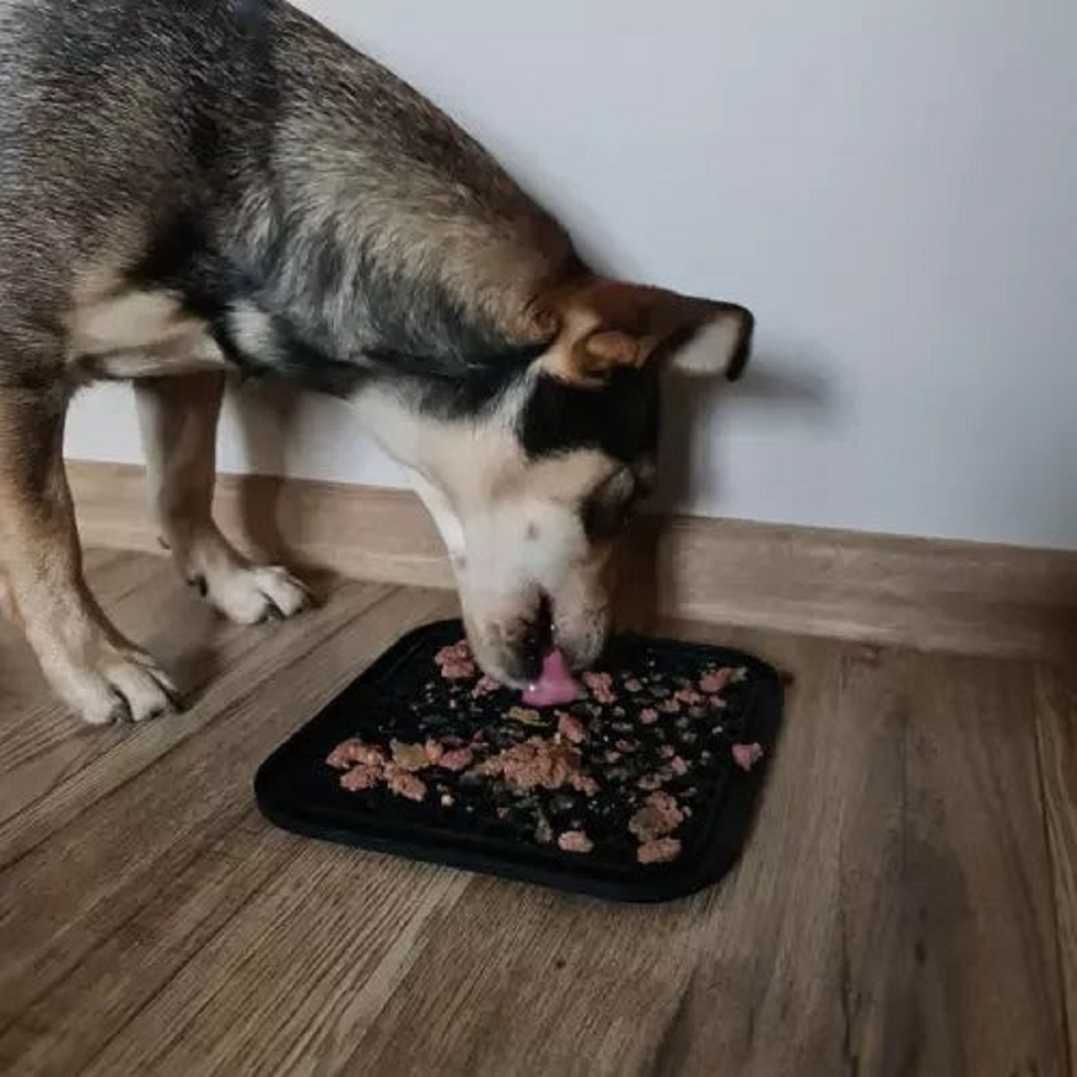 Un perro come de una alfombrilla negra con comida en suelo de madera.