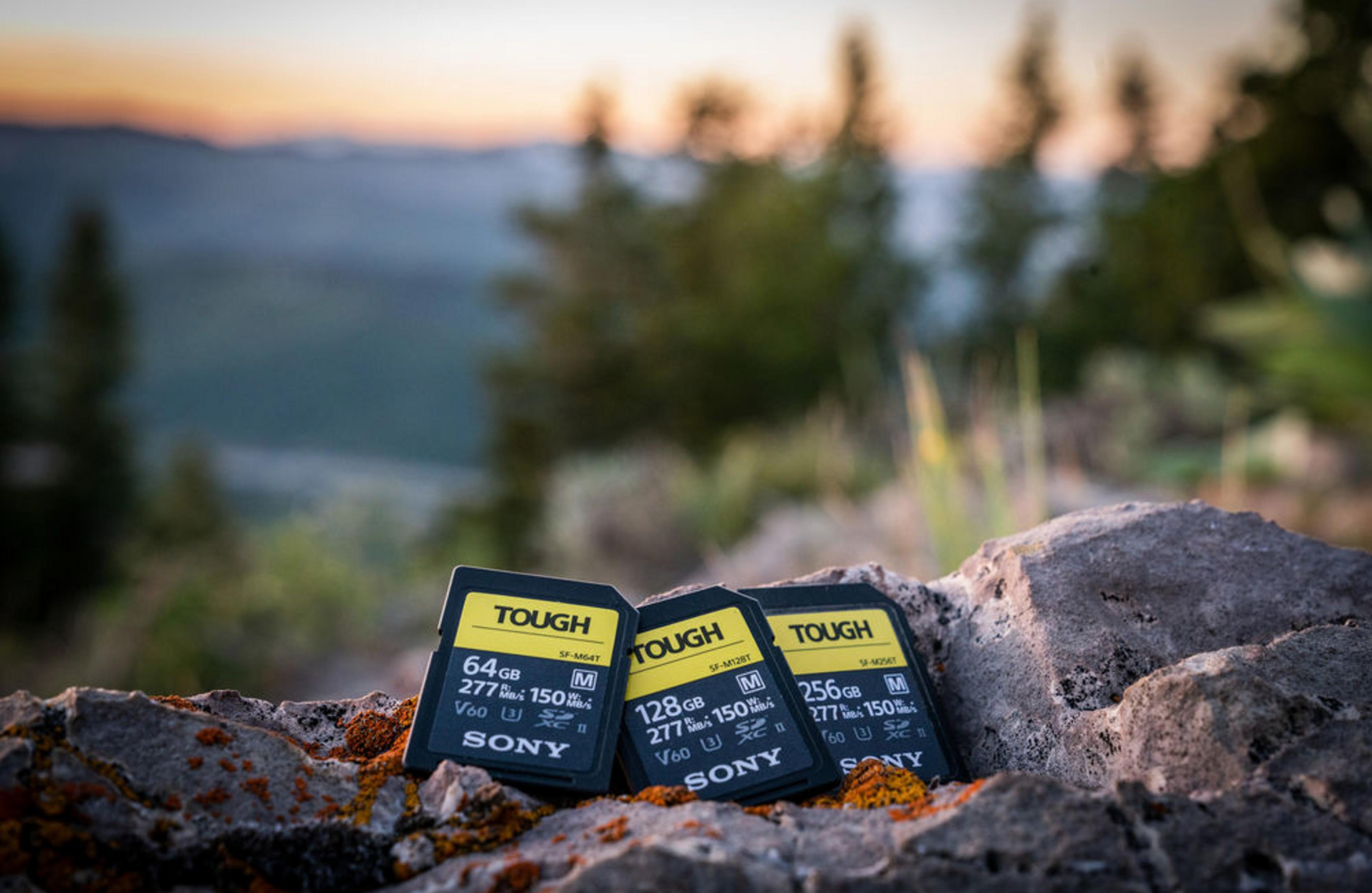 Drei Sony TOUGH SD-Karten liegen auf einem Stein mit verschwommenem Hintergrund.