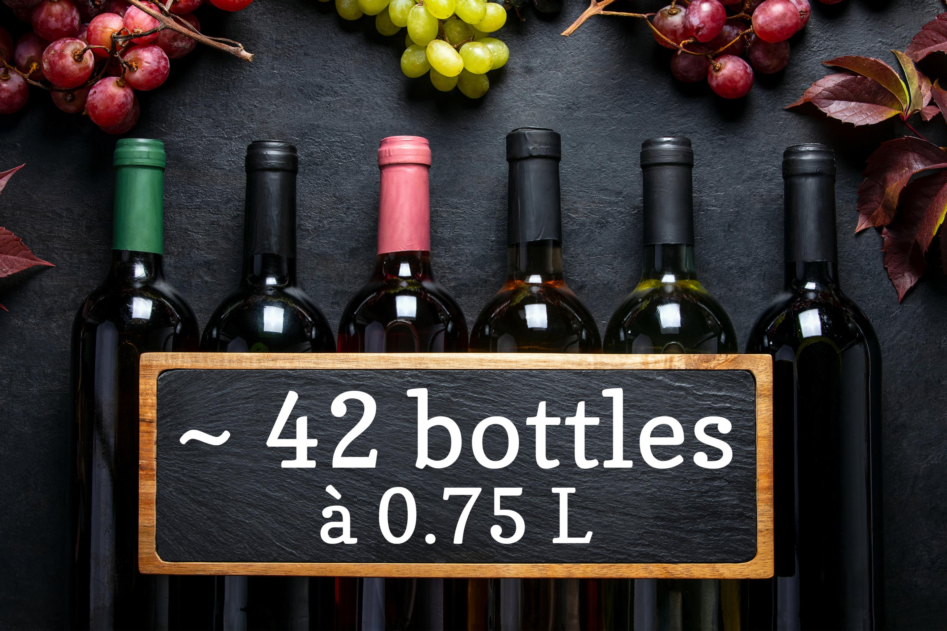 Six bouteilles de vin avec raisins et feuilles sur fond noir.