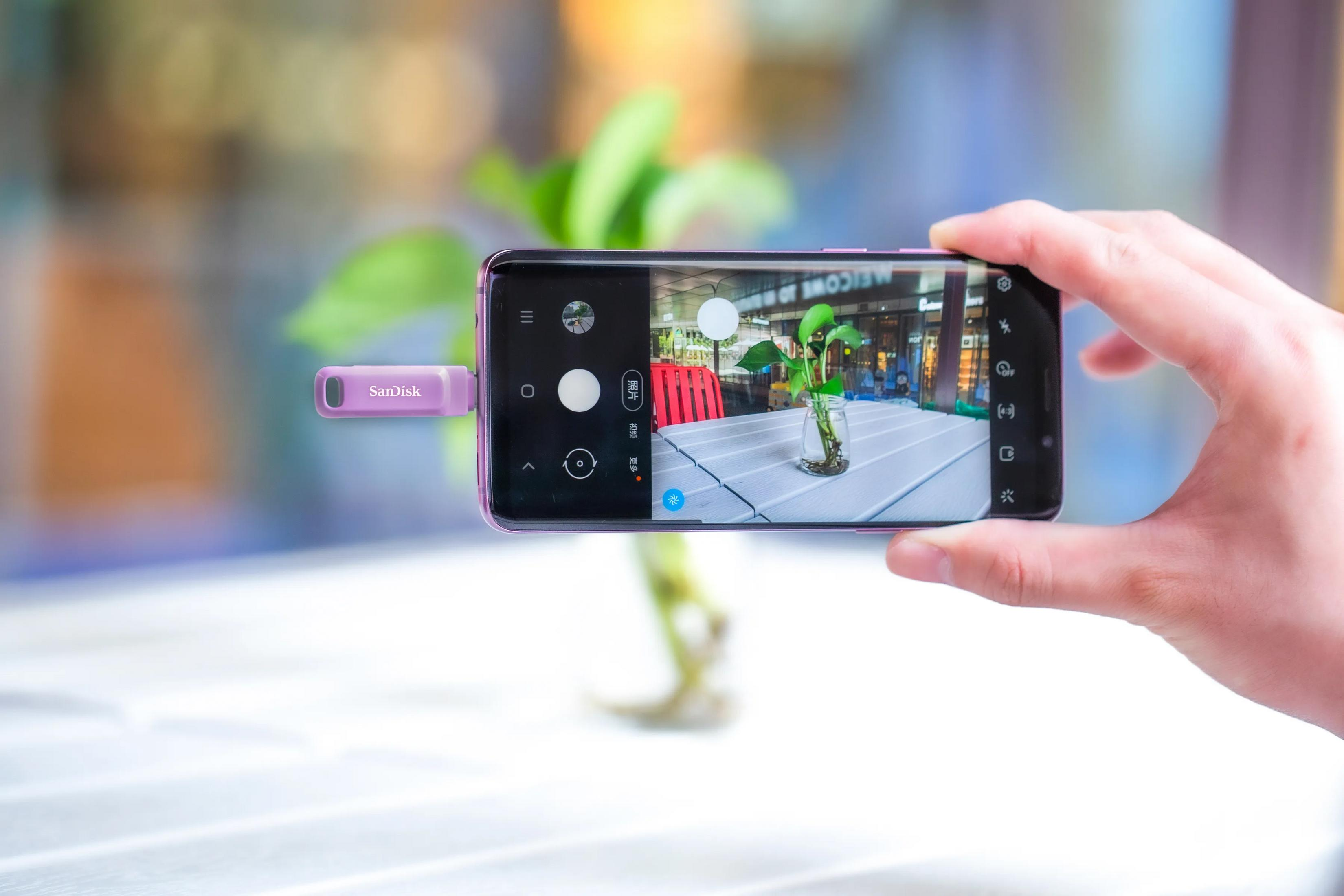 Fioletowy pendrive SanDisk podłączony do smartfona nagrywającego roślinę.