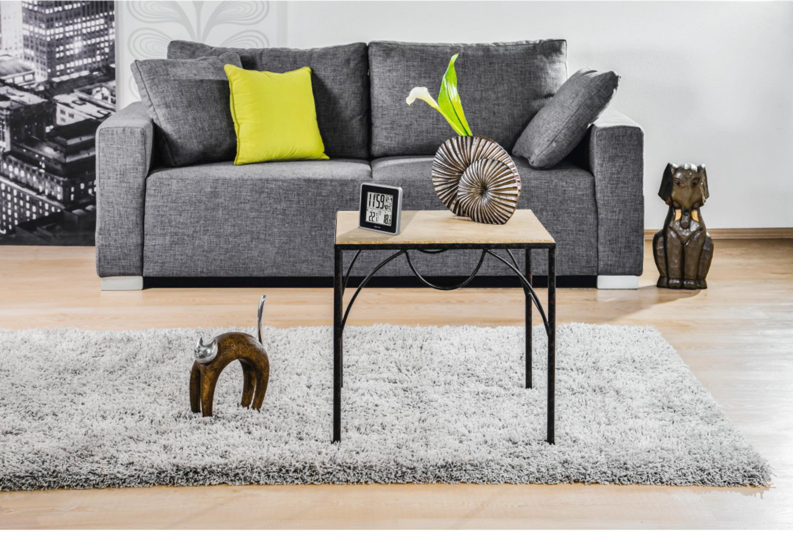 Grijze bank, salontafel met decoratie, kat en hondfiguur op kleed.