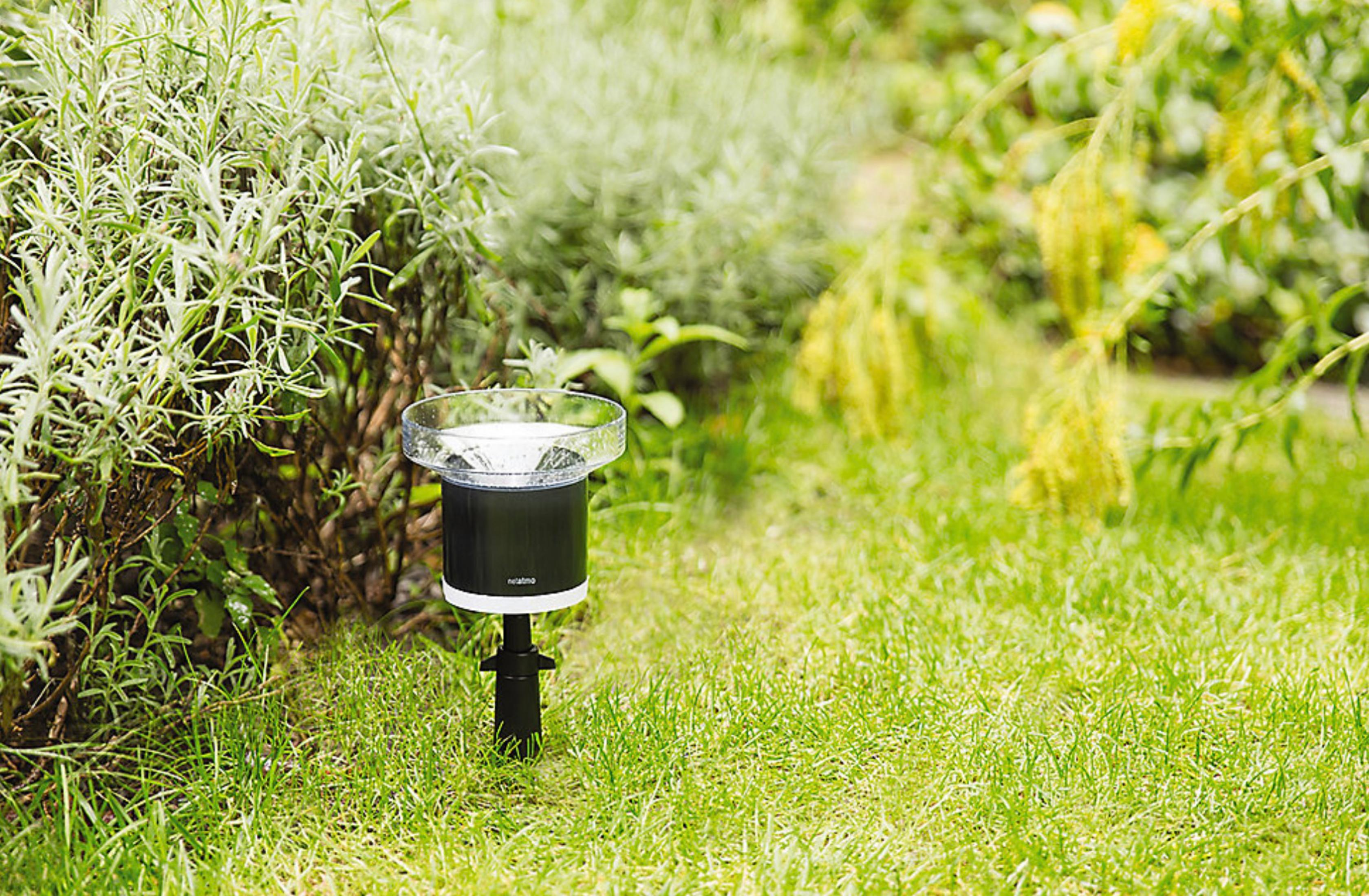 A black rain gauge with a white rim stands in the grass next to plants.