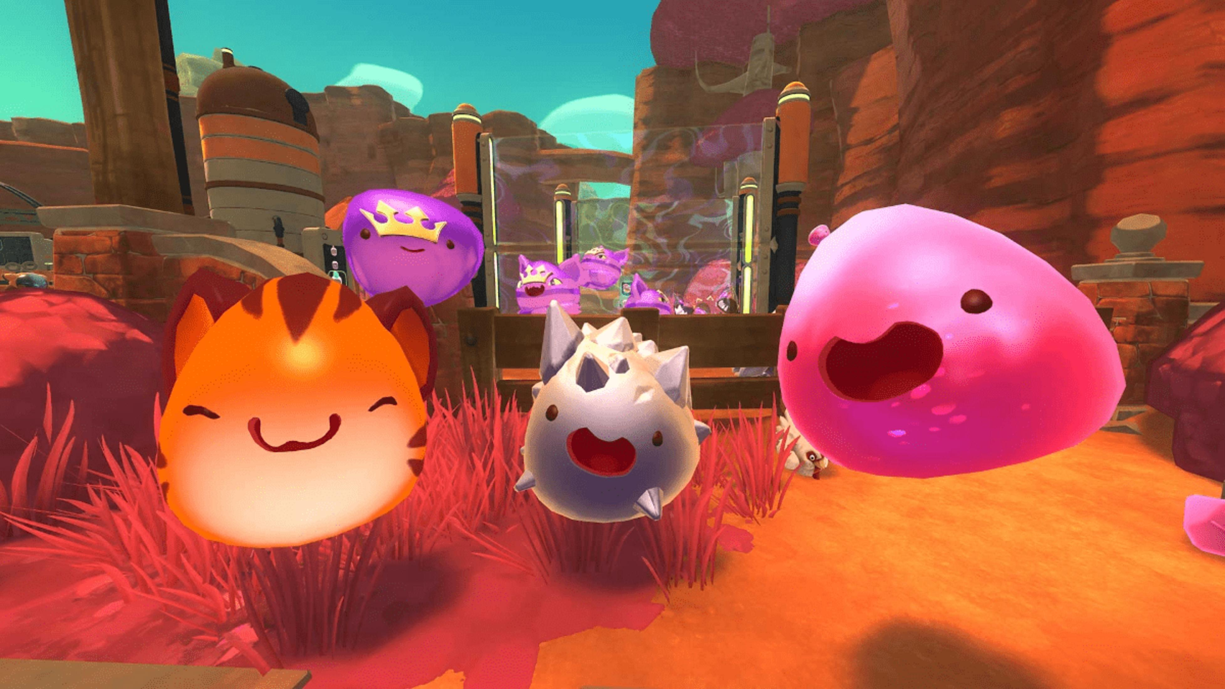Vier bunte Slimes in einer Wüstenlandschaft mit Gebäuden.