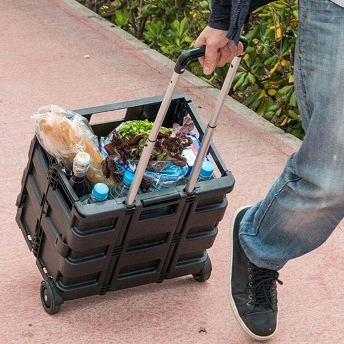 Una persona tira un carrello della spesa nero con generi alimentari, pane, lattuga e bottiglie d'acqua.