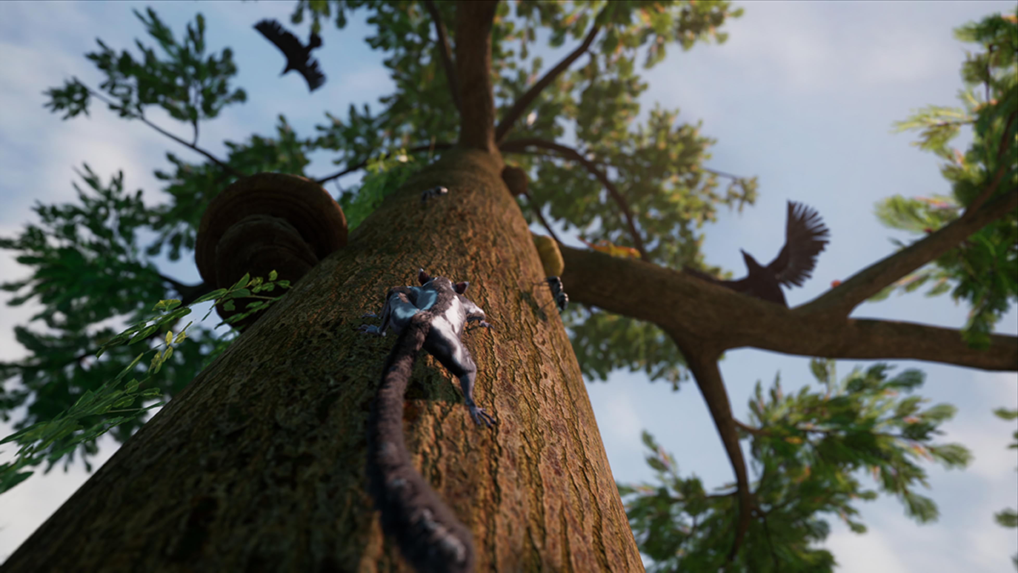 Ein Tier klettert auf einen Baum, Vögel fliegen.