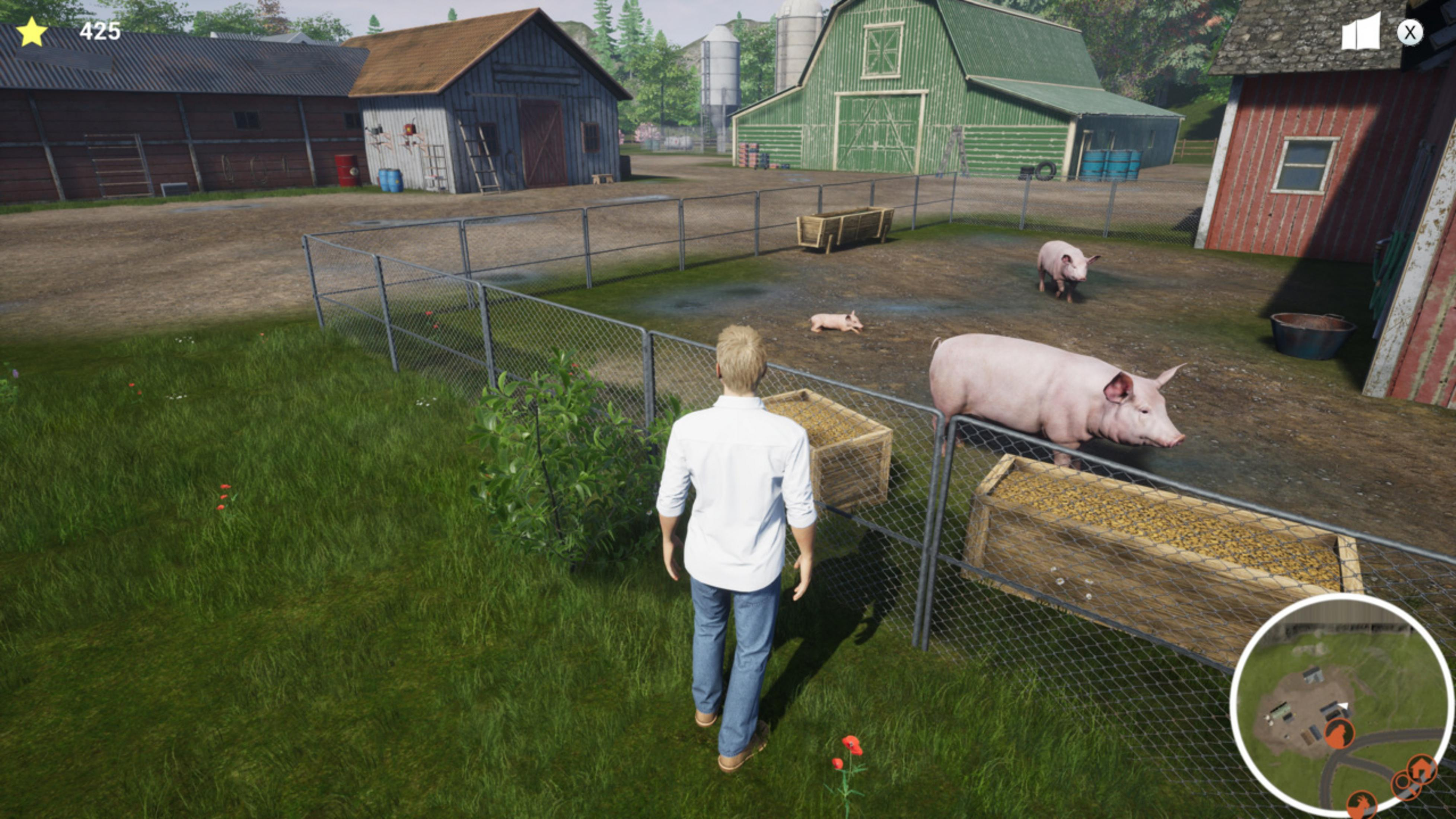 Ein Mann steht auf einer Wiese vor einem Schweinegehege mit drei Schweinen und einem Futtertrog.