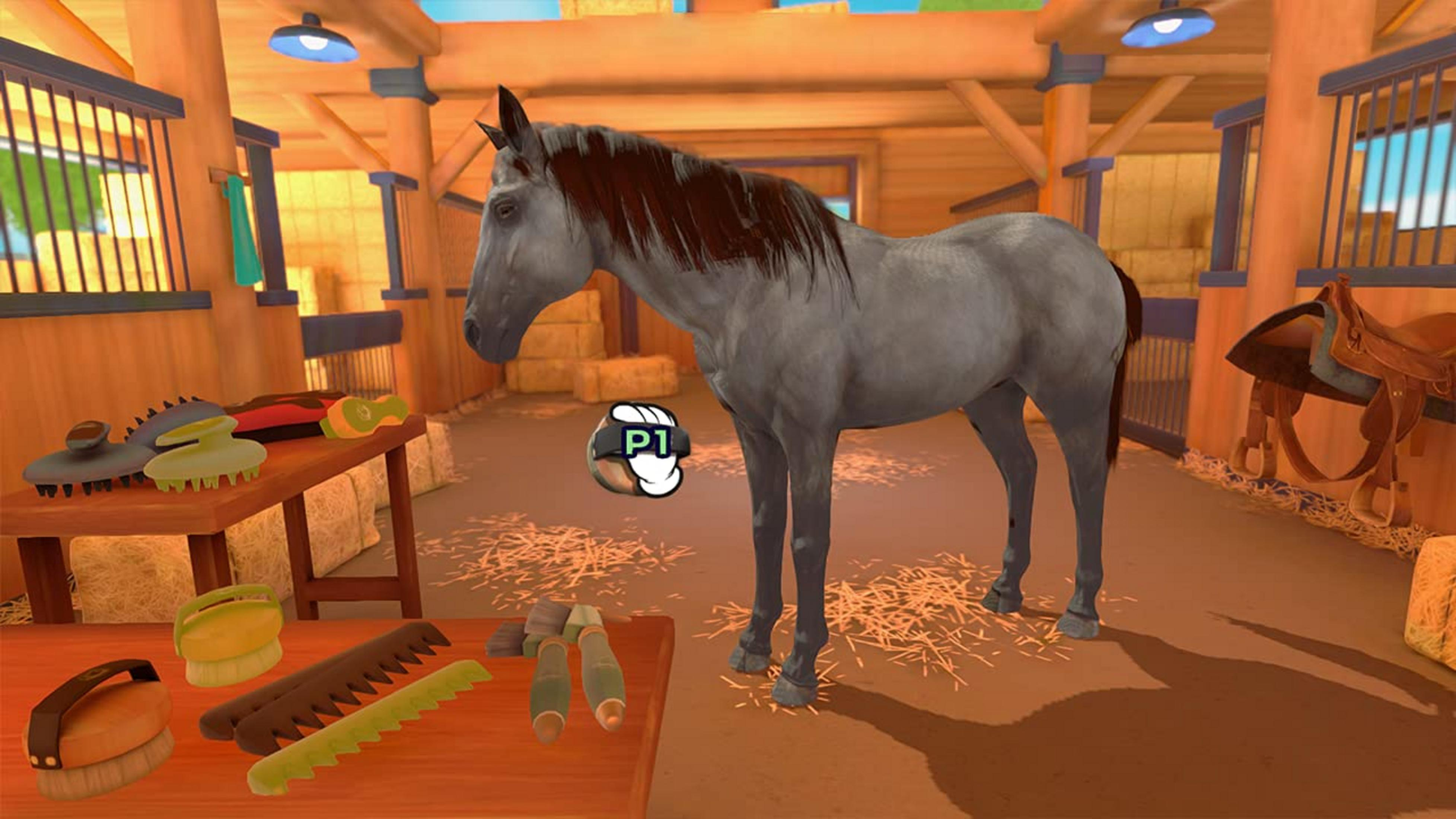 Graues Pferd in einer Stallung mit Putzzeug und Sattel.