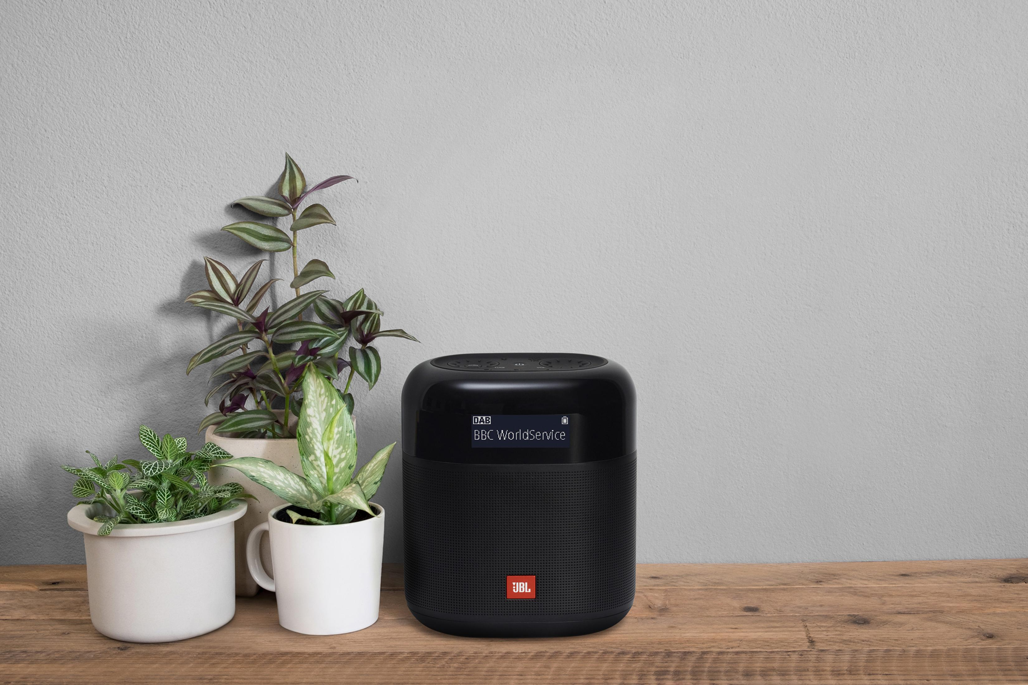 Czarny głośnik JBL z roślinami na drewnianym stole.