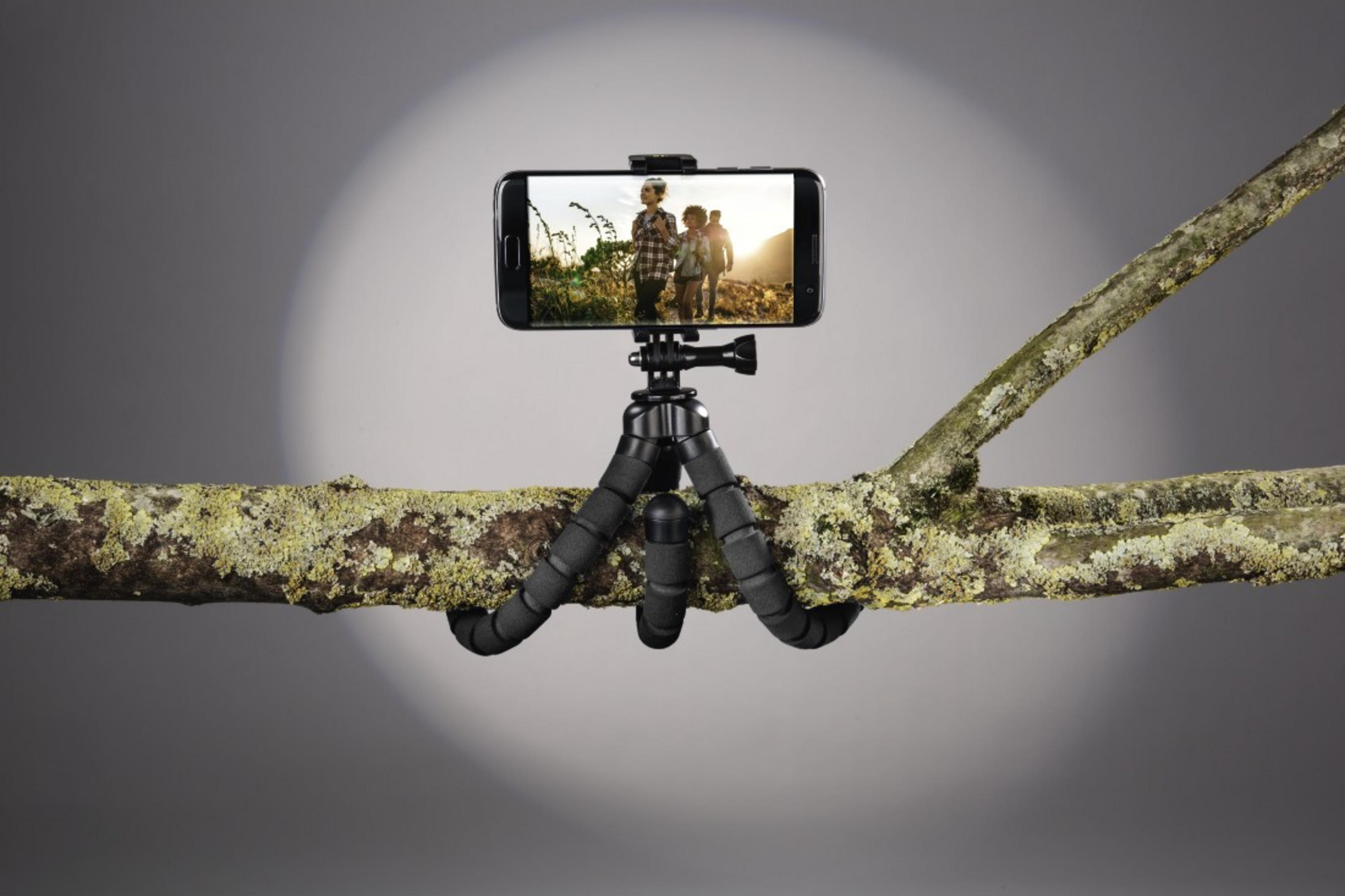 Smartfon na elastycznym statywie wiszący na omszałej gałęzi.