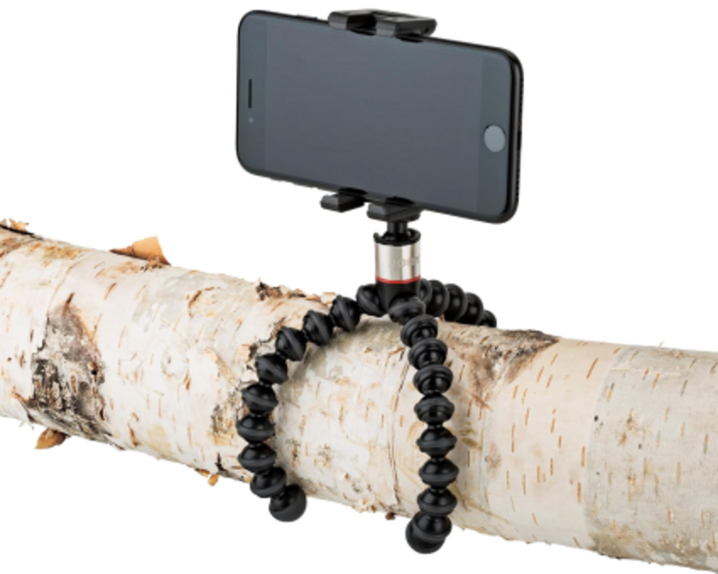 Ein flexibles Stativ hält ein Smartphone auf einem Baumstamm.