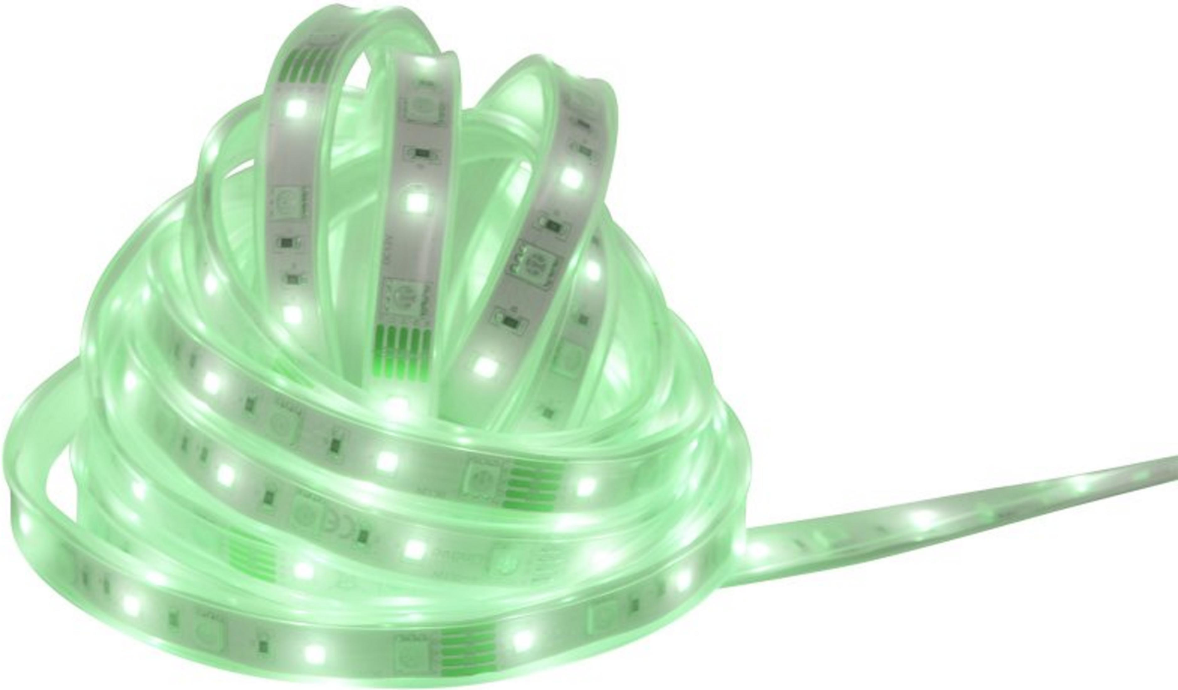 Eine aufgerollte grüne LED-Lichtleiste mit sichtbaren LEDs und Komponenten.