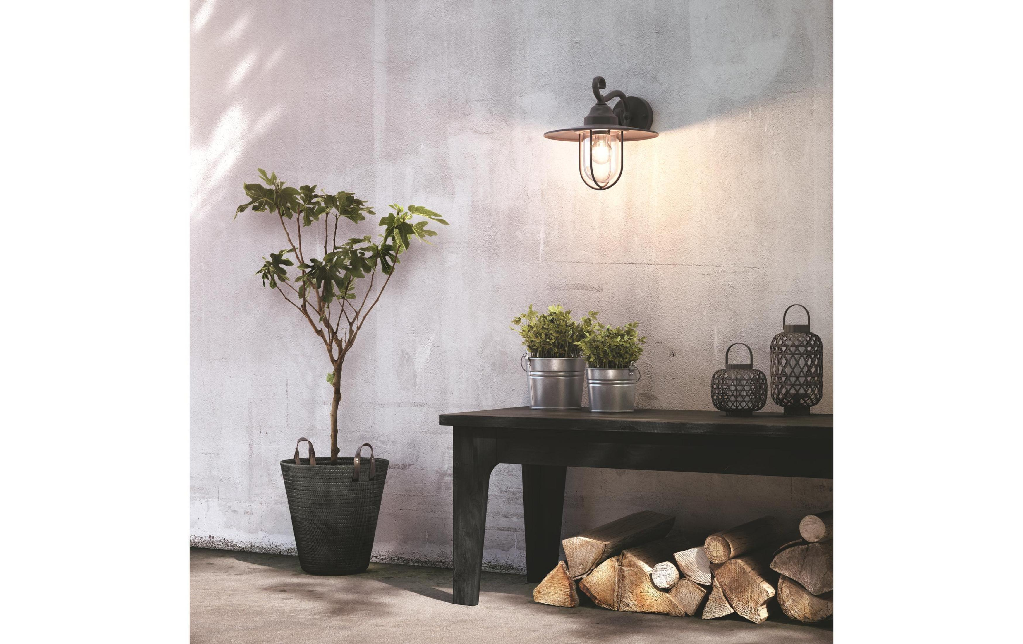 Eine Wandleuchte beleuchtet eine Wand neben einem Baum im Topf und einem Tisch.