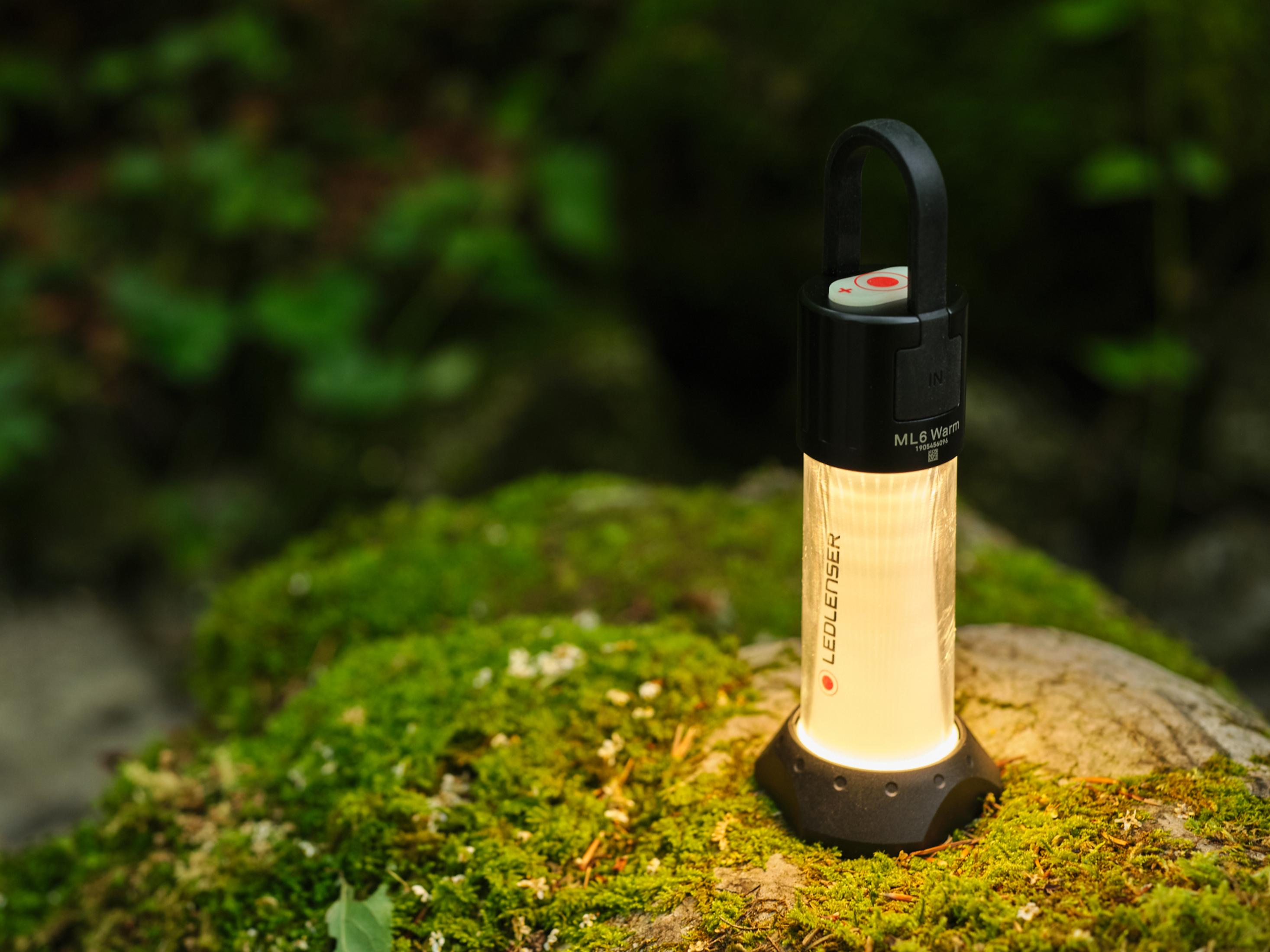 Eine leuchtende Laterne steht auf einem moosbewachsenen Felsen im Wald.
