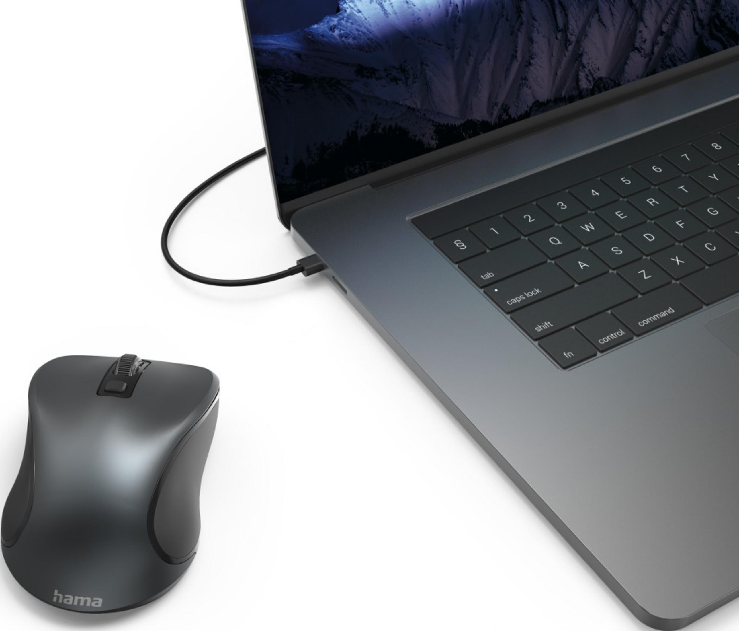Un mouse grigio è collegato a un laptop. Il laptop mostra un paesaggio di montagna sullo schermo.