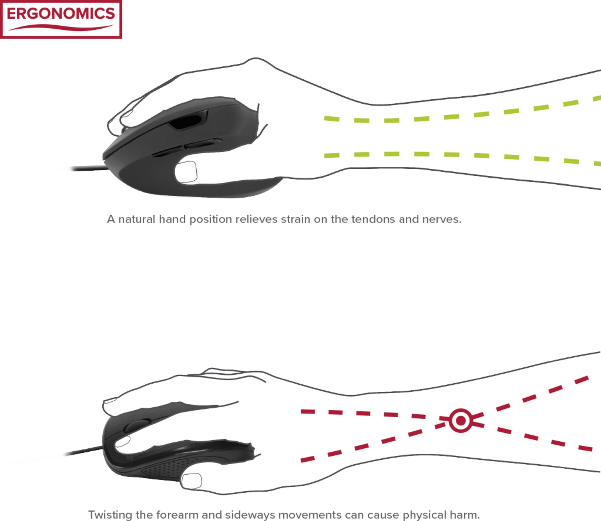 Een hand houdt een muis vast, natuurlijke positie.
