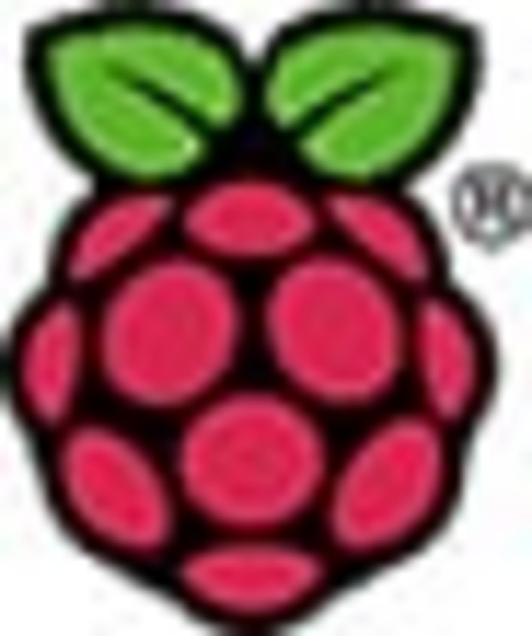 Un logo stilizzato di lampone rosso con due foglie verdi in cima.