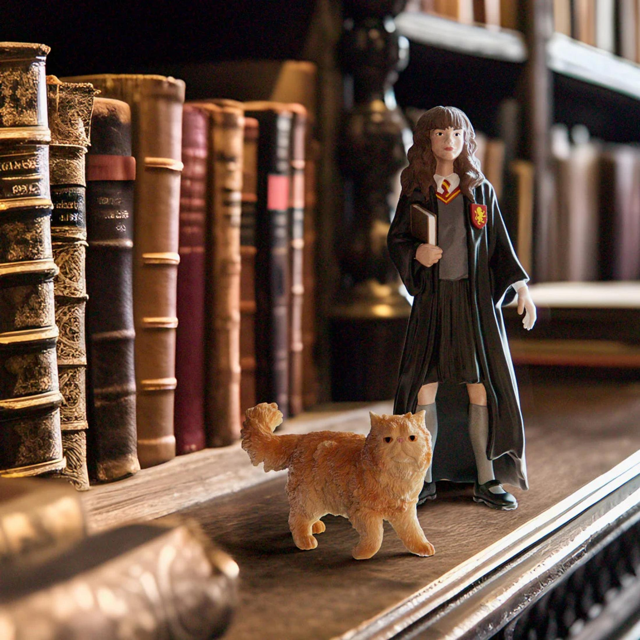 Figurina di una ragazza con un gatto davanti a librerie.