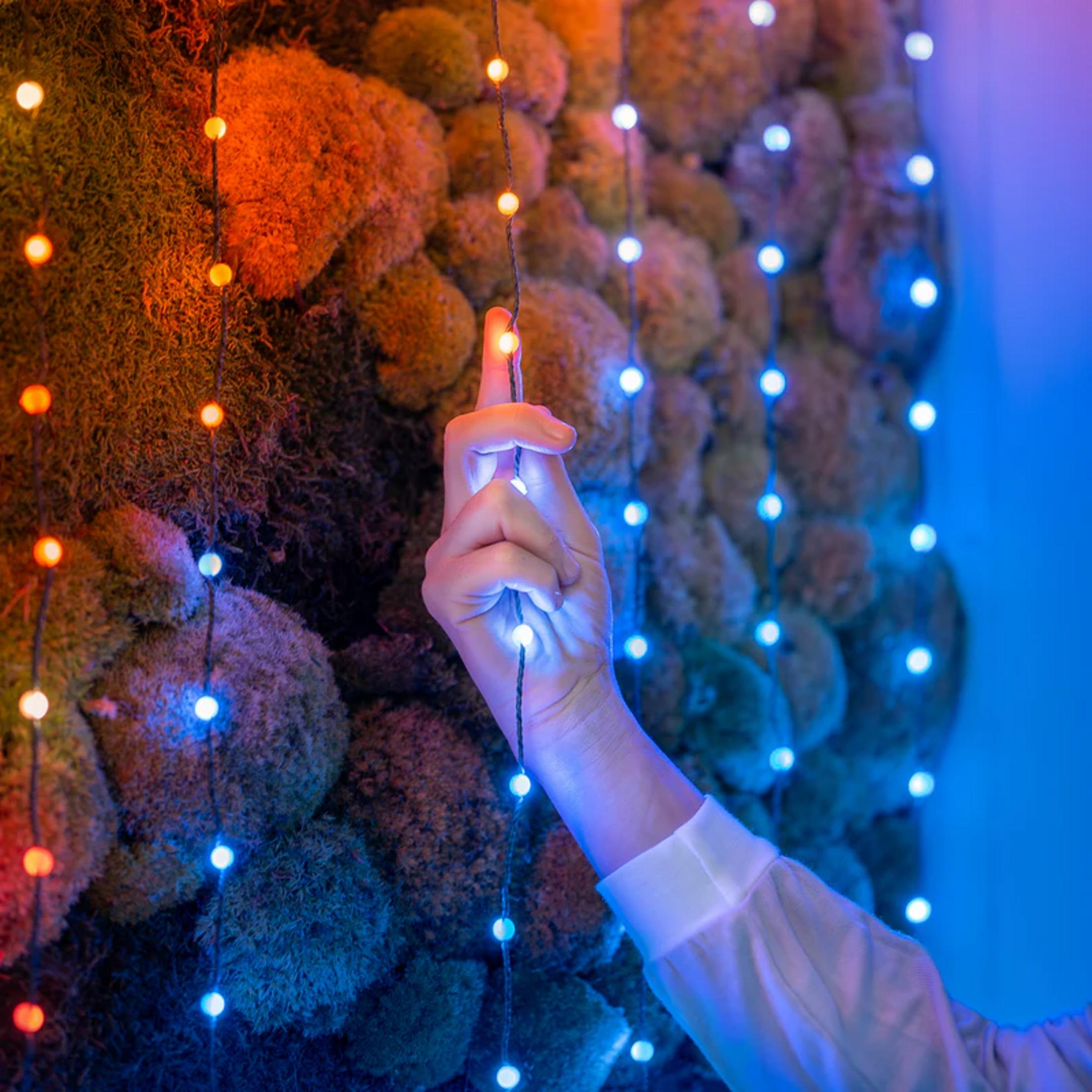 Dłoń dotyka sznurka lampek na omszałej ścianie, oświetlonej na czerwono i niebiesko.