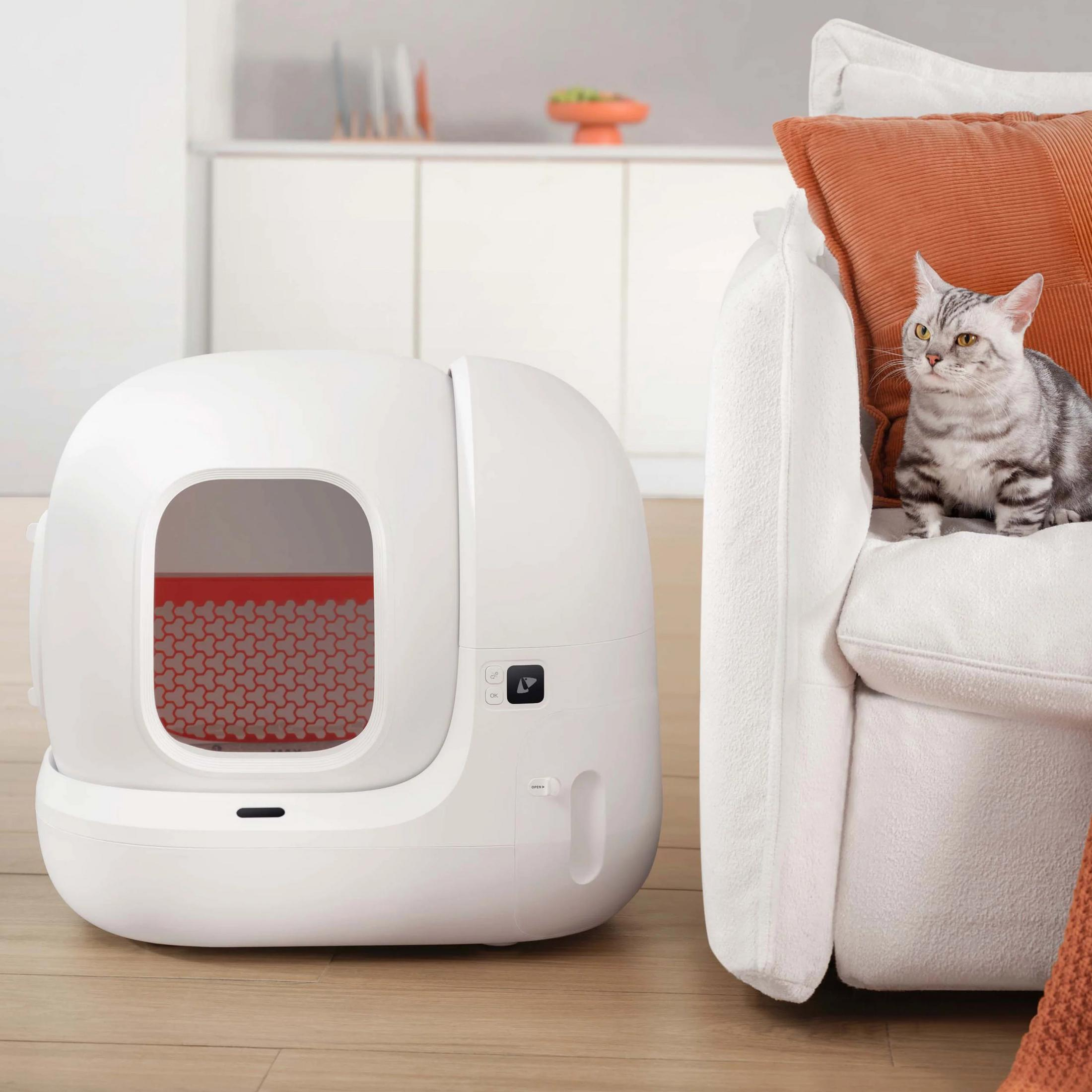 Un gatto soriano grigio siede su un divano bianco accanto a una moderna lettiera automatica bianca.