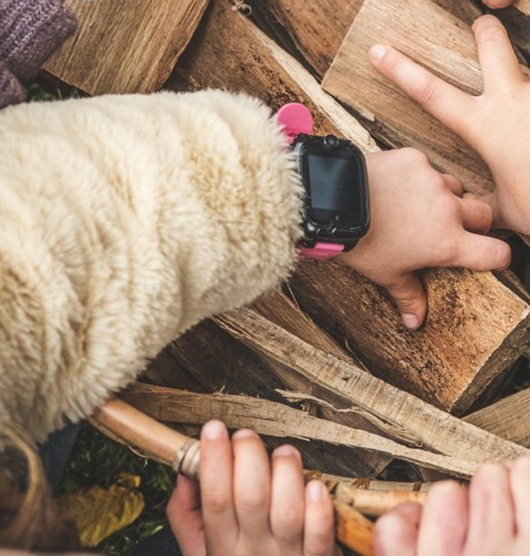 Kinderhände greifen nach Holzscheiten. Eines trägt eine Smartwatch.