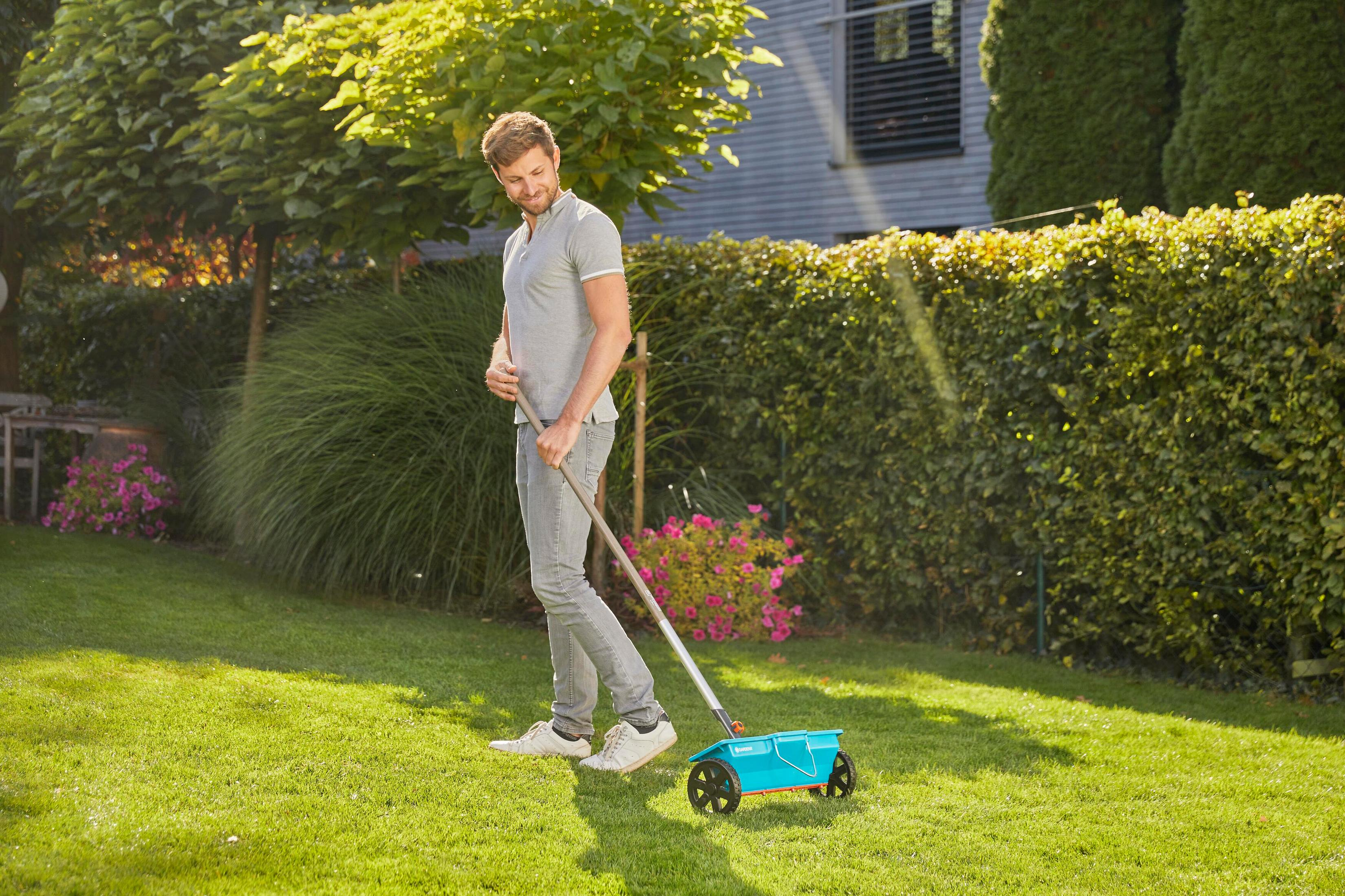 Uomo fertilizza prato con spargitore in giardino soleggiato.