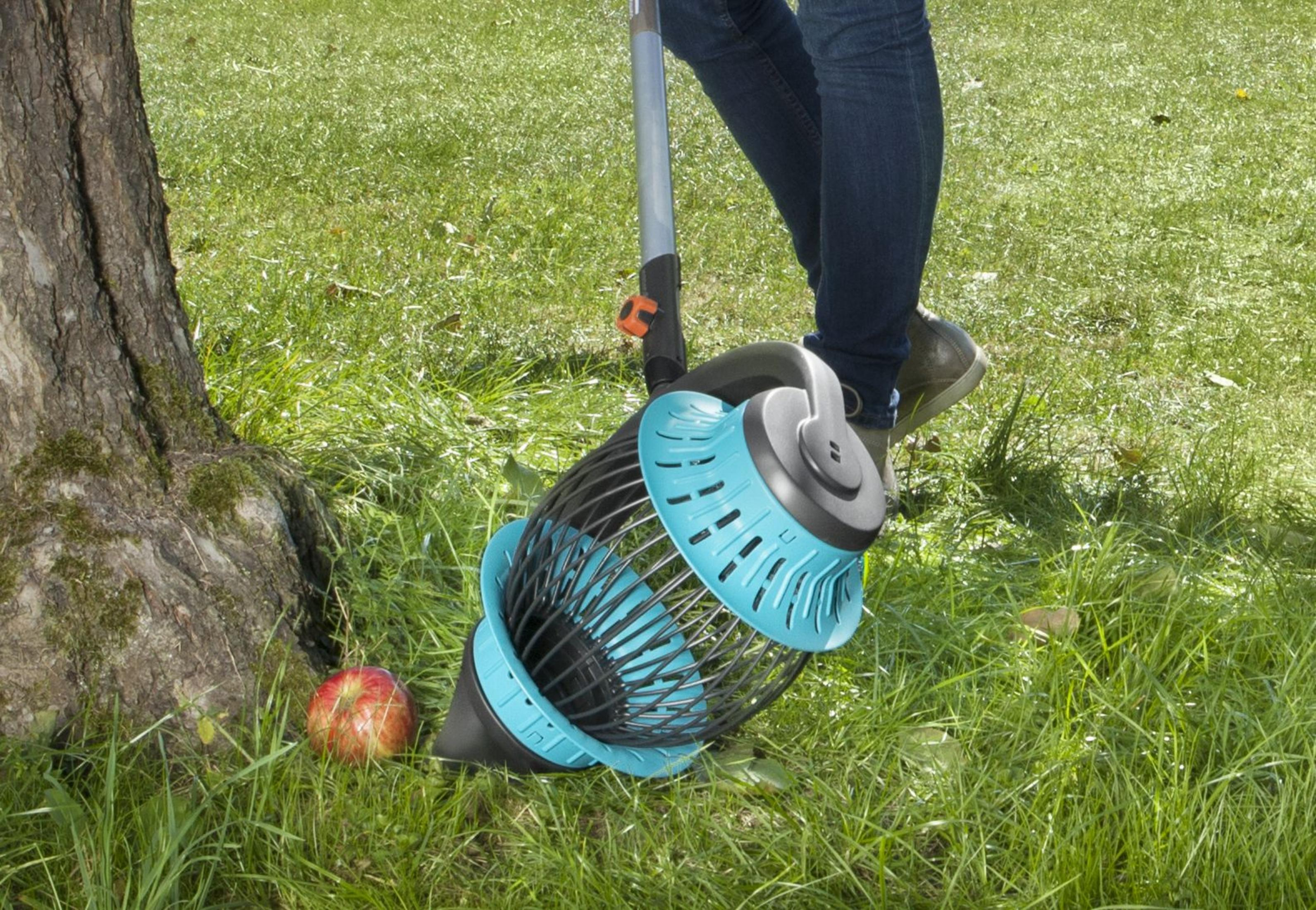 Una mela giace sull'erba accanto a un albero. Uno strumento di raccolta è vicino.