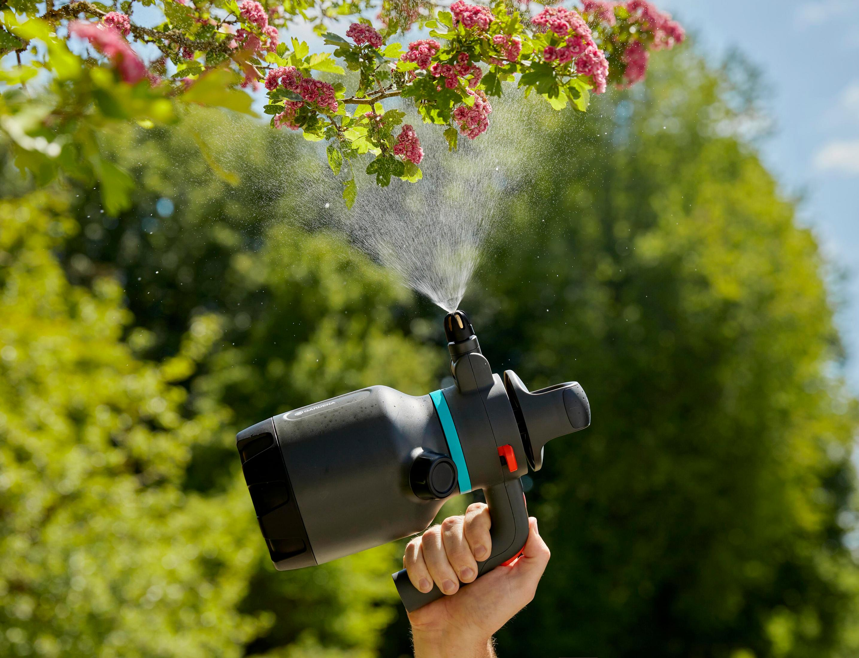 Hand hält Spritzpistole, die Wasser auf rosa Blüten und grüne Blätter sprüht.