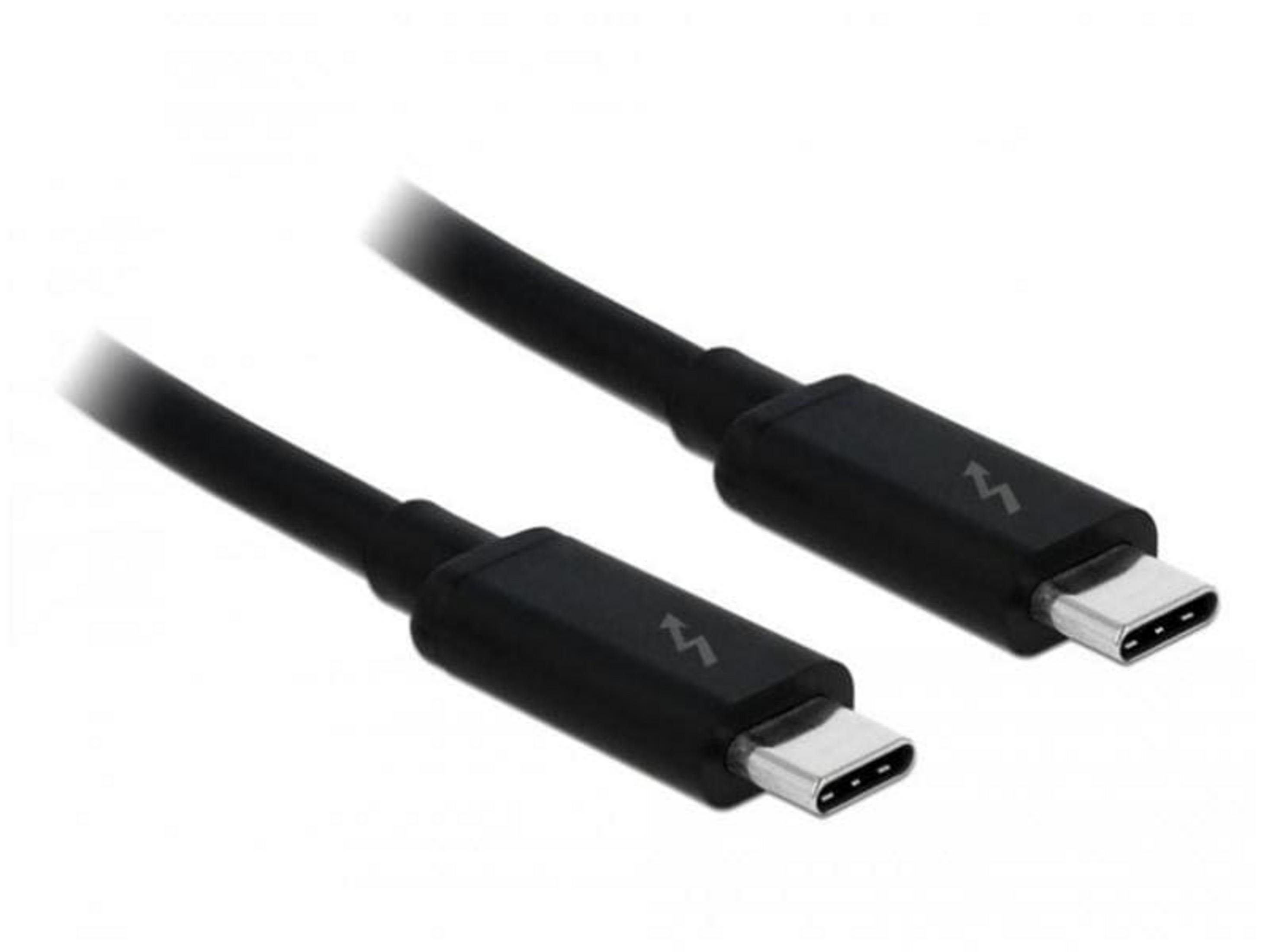 Deux câbles USB-C noirs avec connecteurs argentés sur fond blanc.