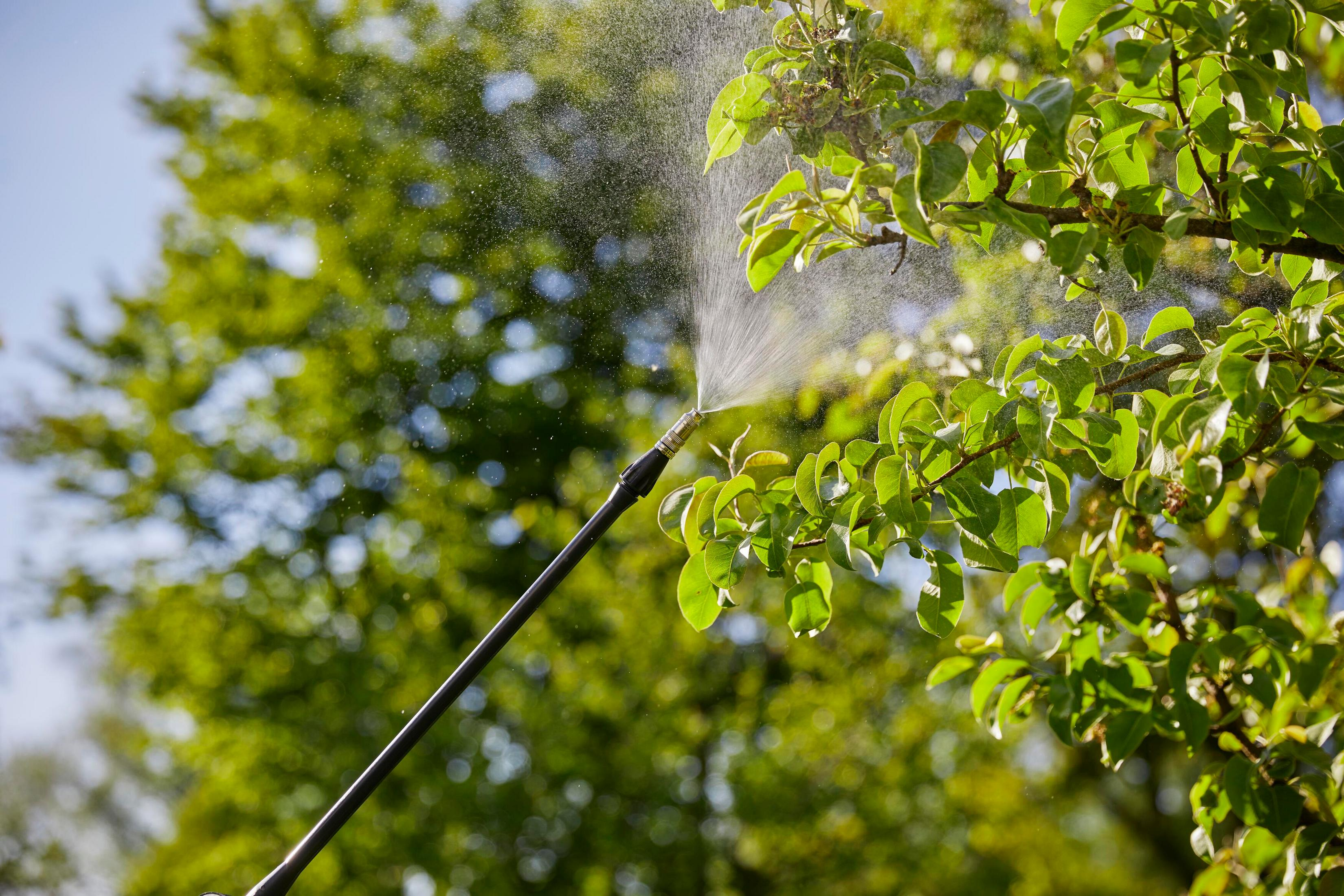 Een spuitarm vernevelt groene bladeren met fijne waterdruppels.