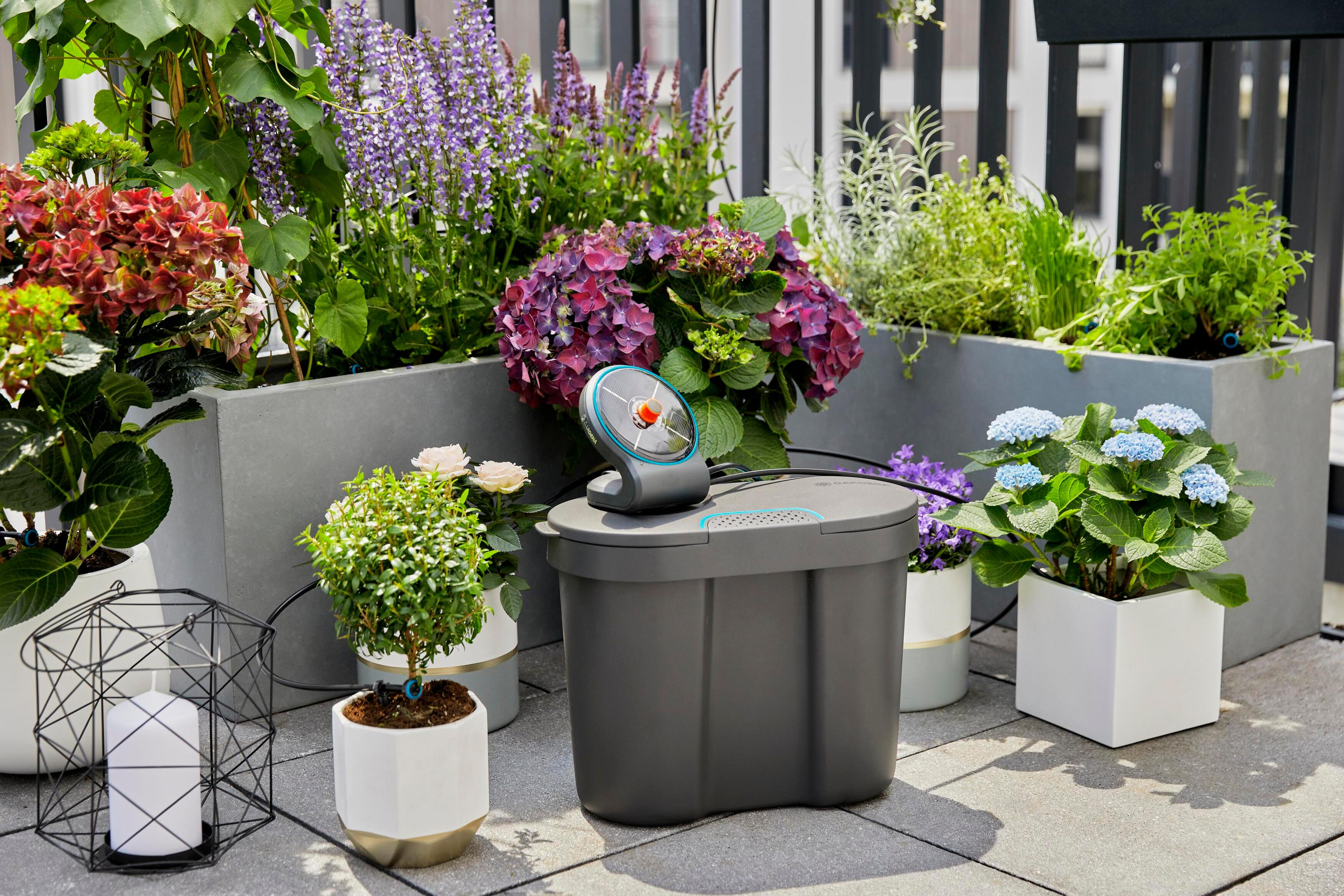 Szary komputer nawadniający z panelem słonecznym stoi obok hortensji i róż na tarasie.